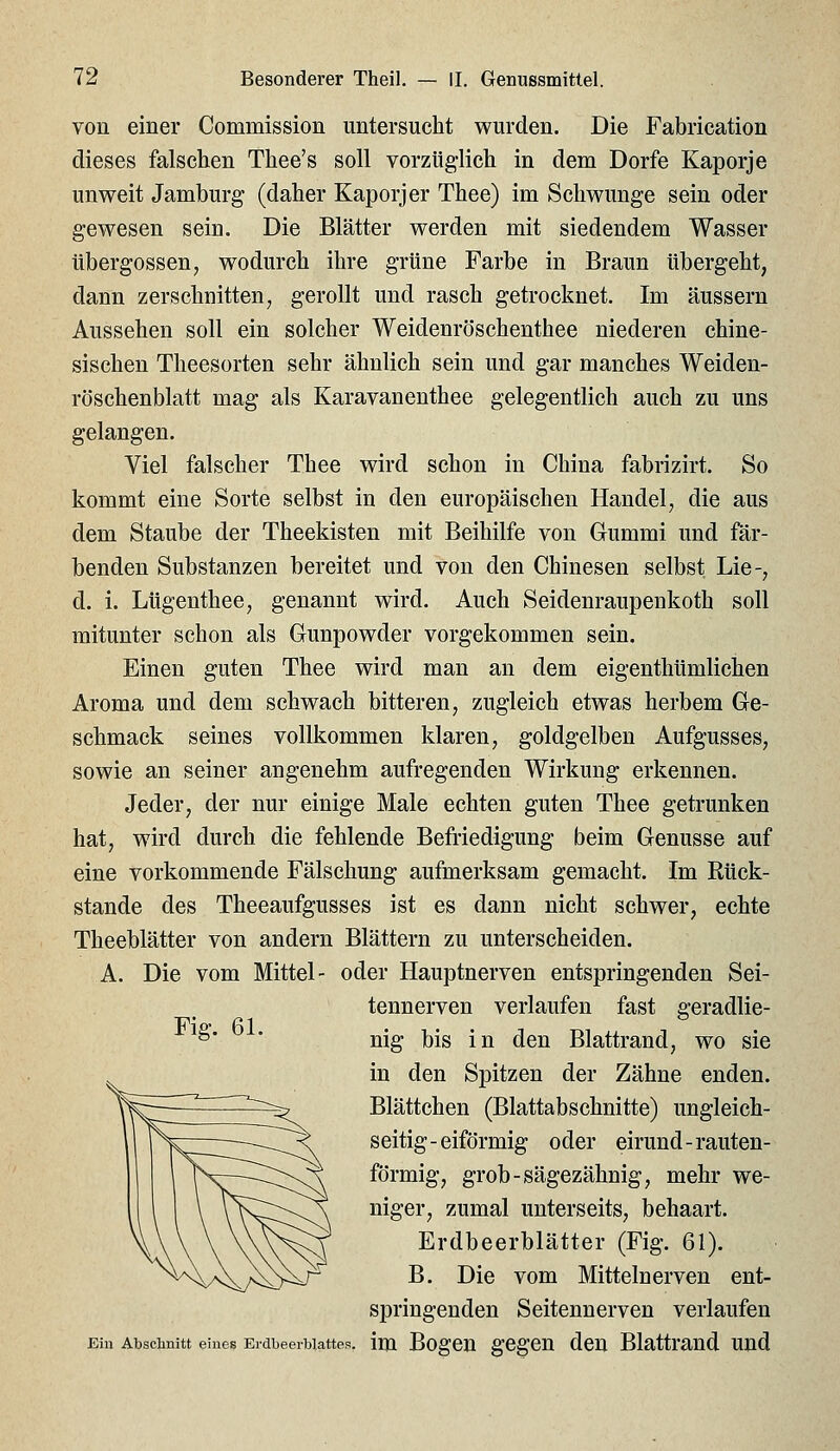 von einer Commission untersucht wurden. Die Fabrieation dieses falschen Thee's soll vorzüg-lich in dem Dorfe Kaporje unweit Jamburg (daher Kaporjer Thee) im Schwünge sein oder gewesen sein. Die Blätter werden mit siedendem Wasser Übergossen, wodurch ihre grüne Farbe in Braun übergeht, dann zerschnitten, gerollt und rasch getrocknet. Im äussern Aussehen soll ein solcher Weidenröschenthee niederen chine- sischen Theesorten sehr ähnlich sein und gar manches Weiden- röschenblatt mag als Karavanenthee gelegentlich auch zu uns gelangen. Viel falscher Thee wird schon in China fabrizirt. So kommt eine Sorte selbst in den europäischen Handel, die aus dem Staube der Theekisten mit Beihilfe von Gummi und fär- benden Substanzen bereitet und von den Chinesen selbst Lie-, d. i. Lügenthee, genannt wird. Auch Seidenraupenkoth soll mitunter schon als Gunpowder vorgekommen sein. Einen guten Thee wird man an dem eigenthümlichen Aroma und dem schwach bitteren, zugleich etwas herbem Ge- schmack seines vollkommen klaren, goldgelben Aufgusses, sowie an seiner angenehm aufregenden Wirkung erkennen. Jeder, der nur einige Male echten guten Thee getrunken hat, wird durch die fehlende Befriedigung beim Genüsse auf eine vorkommende Fälschung aufmerksam gemacht. Im Rück- stande des Theeaufgusses ist es dann nicht schwer, echte Theeblätter von andern Blättern zu unterscheiden. A. Die vom Mittel- oder Hauptnerven entspringenden Sei- tennerven verlaufen fast geradlie- Fie 61 °' ' nig bis in den Blattrand, wo sie in den Spitzen der Zähne enden. Blättchen (Blattabschnitte) ungleich- seitig-eiförmig oder eirund-rauten- förmig, grob-sägezähnig, mehr we- niger, zumal unterseits, behaart. Erdbeerblätter (Fig. 61). B. Die vom Mittelnerven ent- springenden Seitennerven verlaufen Ein Absclmitt eines Eidbeerblattes, im BogCU gCgCU dcU Blattraud UUd