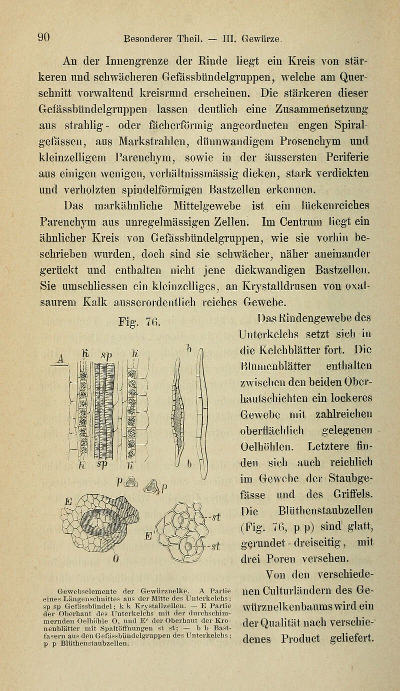 An der Innengrenze der Eiude liegt ein Kreis von stär- keren und schwächeren Gefässbtindelgruppen, welche am Quer- schnitt vorwaltend kreisrund erscheinen. Die stärkeren dieser Gefässbiindelgruppen lassen deutlich eine Zusammeüsetzung aus strahlig- oder fächerförmig angeordneten engen Spiral- gefässen, aus Markstrahlen, dünnwandigem Prosenchym und kleinzelligem Parenchym, sowie in der äussersten Periferie aus einigen wenigen, verhältnissmässig dicken, stark verdickten und verholzten spindelförmigen Bastzellen erkennen. Das markähnliche Mittelgewebe ist ein lUckenreiches Parenchym aus unregelmässigen Zellen. Im Centrum liegt ein ähnlicher Kreis von GrefässbUndelgruppen, wie sie vorhin be- schrieben wurden, doch sind sie schwächer, näher aneinander gertickt und enthalten nicht jene dickwandigen Bastzellen. Sie umsehliessen ein kleinzelliges, an Krystalldrusen von oxal- saurem Kalk ausserordentlich reiches Gewebe. Fig. 76. Gewebselemente der Gewürznelke. A Partie eines Längenschnittes ans der Mitte des Unterkelchs: sp sp Gefässbündel; k k Krystallzellen. — E Partie der Oberhant des llnterkelcbs mit der durchschim- raeniden Oelhöhle O, nnd E' der Oberhaut der Kro- nenblätter mit Spaltöffnungen st st; — b b Bast- fasern aus den Gefässbiindelgruppen des llnterkelcbs ; p p Blüthenstaubzellen. Das Rindengewebe des Unterkelchs setzt sich in die Kelchblätter fort. Die Blumenblätter enthalten zwischen den beiden Ober- hautschichten ein lockeres Gewebe mit zahlreichen oberflächlich gelegenen Oelhöhlen. Letztere fin- den sich auch reichlich im Gewebe der Staubge- fässe imd des Griifels. Die Blüthenstaubzellen (Fig. 76, p p) sind glatt, gerundet - dreiseitig, mit drei Poren versehen. Von den verschiede- nen Culturländern des Ge- würz nelkenbaums wird ein der Qualität nach verschie- denes Product geliefert.