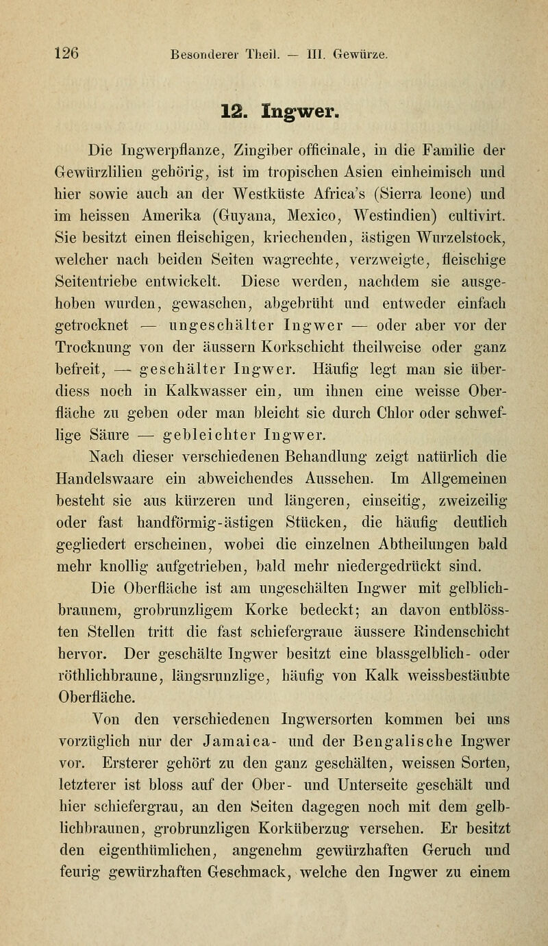 12. Ingwer. Die lügwerpflanze, Zingiber officinale, in die Familie der Gewürzlilien gehörig-, ist im tropischen Asien einheimisch und hier sowie auch an der Westküste Africa's (Sierra leone) und im heissen Amerika (Guyana, Mexico, Westindien) cultivirt. Sie besitzt einen fleischigen, kriechenden, ästigen Wurzelstock, welcher nach beiden Seiten wagrechte, verzweigte, fleischige Seitentriebe entwickelt. Diese werden, nachdem sie ausge- hoben wurden, gewaschen, abgebrüht und entweder einfach getrocknet — ungeschälter Ingwer — oder aber vor der Trocknung von der äussern Korkschicht theilweise oder ganz befreit, — geschälter Ingwer. Häufig legt man sie über- diess noch in Kalkwasser ein^ um ihnen eine weisse Ober- fläche zu geben oder man bleicht sie durch Chlor oder schwef- lige Säure — gebleichter Ingwer. Nach dieser verschiedenen Behandlung zeigt natürlich die Handelswaare ein abweichendes Aussehen. Im Allgemeinen besteht sie aus kürzeren und längeren, einseitig, zweizeilig oder fast bandförmig-ästigen Stücken, die häufig deutlich gegliedert erscheinen, wobei die einzelnen Abtheilungen bald mehr knollig aufgetrieben, bald mehr niedergedrückt sind. Die Oberfläche ist am ungeschälten Ingwer mit gelblich- braunem, grobrunzligem Korke bedeckt; an davon entblöss- ten Stellen tritt die fast schiefergraue äussere Rindenschicht hervor. Der geschälte Ingwer besitzt eine blassgelblich- oder röthlichbraune, längsruuzlige, häufig von Kalk weissbestäubte Oberfläche. Von den verschiedenen Ingwersorten kommen bei uns vorzüglich nur der Jamalca- und der Bengalische Ingwer vor. Ersterer gehört zu den ganz geschälten, weissen Sorten, letzterer ist bloss auf der Ober- und Unterseite geschält und hier schiefergrau, an den Seiten dagegen noch mit dem gelb- lichbraunen, grobrunzligen Korküberzug versehen. Er besitzt den eigenthümlichen, angenehm gewürzhaften Geruch und feurig gewürzhaften Geschmack, welche den Ingwer zu einem