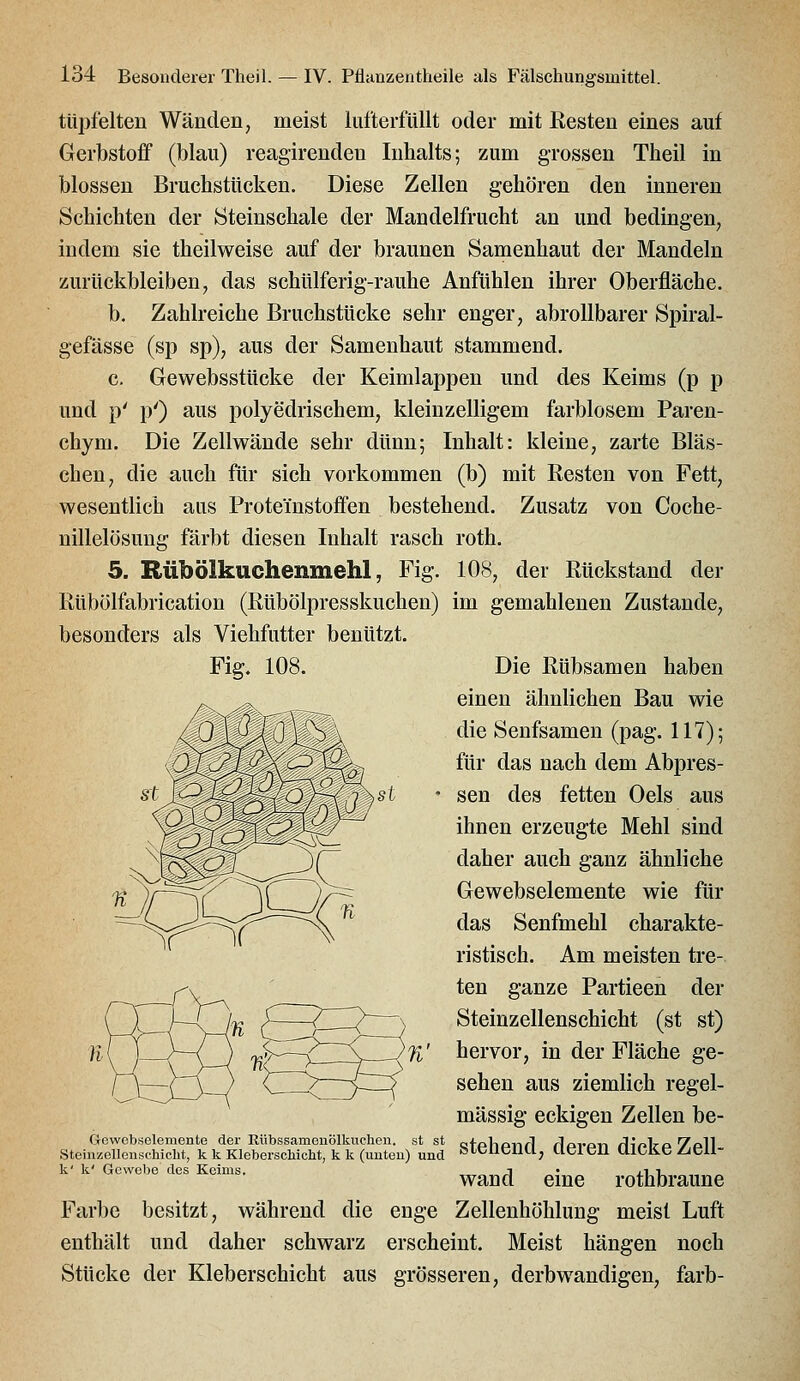 tüpfelten Wänden, meist lufterfüllt oder mit Resten eines auf Gerbstoff (blau) reagirendeu Inhalts; zum grossen Theil in blossen Bruchstücken. Diese Zellen gehören den inneren Schichten der Steinschale der Mandelfrucht an und bedingen, indem sie theilweise auf der braunen Samenhaut der Mandeln zurückbleiben, das schtilferig-rauhe Anfühlen ihrer Oberfläche. b. Zahlreiche Bruchstücke sehr enger, abrollbarer Spiral- gefässe (sp sp), aus der Samenhaut stammend. c. Gewebsstücke der Keimlappeu und des Keims (p p und p' p') aus polyedrischem, kleinzelligem farblosem Paren- chym. Die Zellwände sehr dünn; Inhalt: kleine, zarte Bläs- chen, die auch für sich vorkommen (b) mit Resten von Fett, wesentlich aus Protemstoffen bestehend. Zusatz von Coche- nillelösung färbt diesen Inhalt rasch roth. 5. Rübölkuchenmehl, Fig. 108, der Rückstand der Rübölfabrication (Rüböipresskuchen) im gemahlenen Zustande, besonders als Viehfutter benutzt. Fig. 108. Die Rübsamen haben einen ähnlichen Bau wie die Senfsamen (pag. 117); für das nach dem Abpres- sen des fetten Oels aus ihnen erzeugte Mehl sind daher auch ganz ähnliche Gewebselemente wie für das Senfmehl charakte- ristisch. Am meisten tre- ten ganze Partieen der Steinzellenschicht (st st) hervor, in der Fläche ge- sehen aus ziemlich regel- mässig eckigen Zellen be- Gewebselemente der Rübssamouölkuchen. st st afQl-.t,y,/1 riovon rlir>lro Zoll Steinzellenschicht, k k Kleberschicht, k k (uuteu) und ölCUtJIlU, UtJltJll Ultne ZJtJll- k' k' Gewebe des Keims. „ „J • i.i i, wand eine rothbraune Farbe besitzt, während die enge Zellenhöhlung meist Luft enthält und daher schwarz erscheint. Meist hängen noch Stücke der Kleberschicht aus grösseren, derbwandigen, färb-