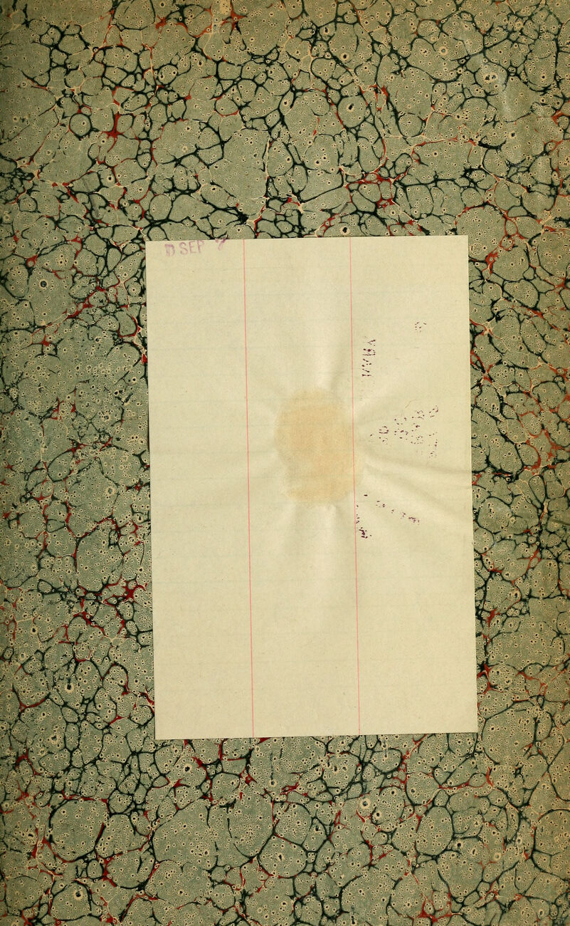 '^^/r.:^ciM.^5l^'V-'' \X (• z^'^^ '^' V y ■^.%R:^y•/w