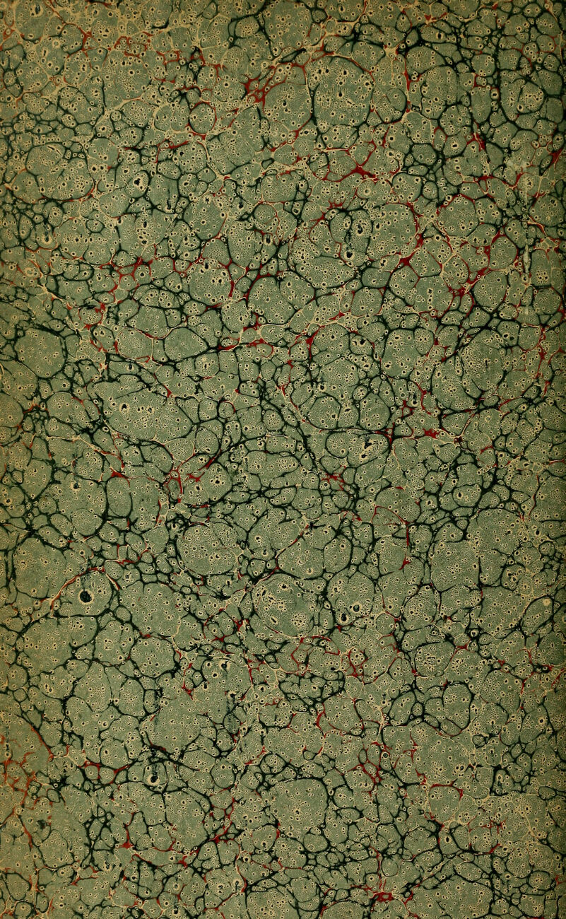 \v •r \- ' V- o^ ^^^x^x^^xS ijrr