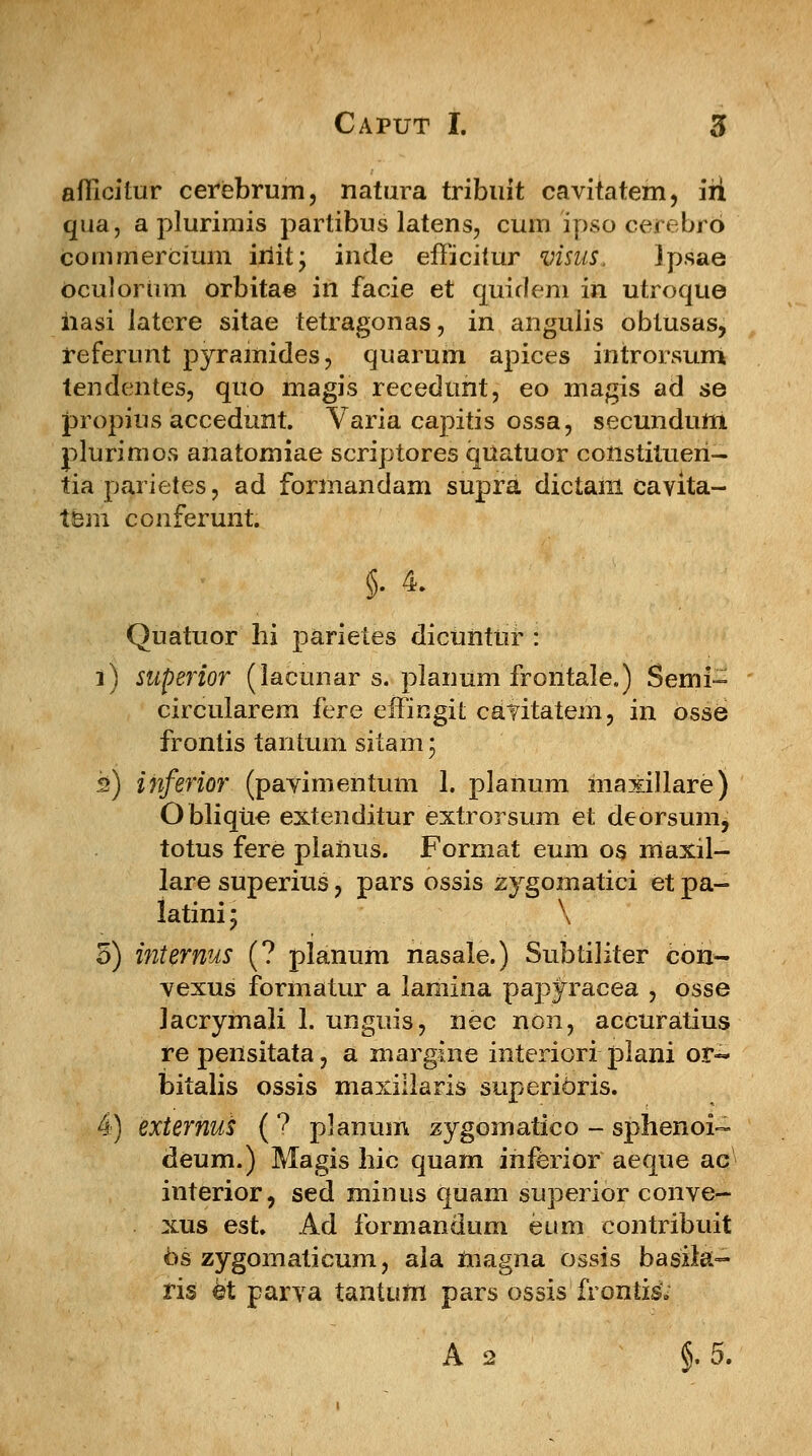 aflicitur cerebrum, natura tribuit cavitatem, iii qua, a plurimis partibus latens, cum ipso cerebrb commeroium iriit; intle efficitur visus. Ipsae oculorum orbitae in facie et quidem in utroque iiasi latere sitae tetragonas, in angulis obtusas, referunt pyramides, quarum apices introrsum tendentes, quo magis recedunt, eo magis ad se propius accedunt. Varia capitis ossa, secunduni plurimos anatomiae scriptores quatuor coiistitueri- tiaparietes, ad formandam supra dictant cavita- ttjni conferunt. Quatuor hi parietes dicuntur : 1) superior (lacunar s. planum frontale.) Semi- circularem fere effingit catitatem, in osse frontis tantum sitam; h) inferior (pavimentum 1. planum maxillare) Oblique extenditur extrorsum et deorsum^ totus fere planus. Format eum os maxil- lare superius, pars ossis zygomatici et pa- latini; \ 5) mternus (? planum nasale.) Subtiliter con- vexus formatur a lamina papyracea , osse Jacrymali 1. unguis, nec non, accuratius re pensitata, a margine interiori plani or« bitalis ossis maxillaris superioris. 4) externus ( ? planum zygomatico - sphenoi- deum.) Magis bic quam inferior aeque ac interior, sed minus quam superior conve- xus est. Ad formandum eum contribuit 6s zygomaticum, ala magna ossis basila- ris ©t parva tantuni pars ossis frontisV A 2 §.5.