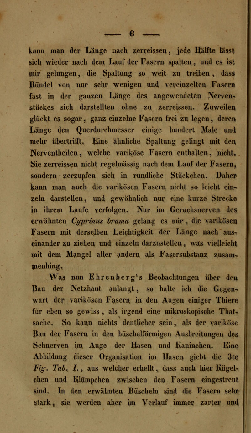 kann man der Länge nach zerreissen, jede Hälfte lässl sich wieder nach dem Lauf der Fasern spalten, und es ist mir gelungen, die Spaltung so weit zu treiben, dass Bündel von nur sehr wenigen und vereinzelten Fasern fast in der ganzen Länge des angewendeten Nerven- Stückes sich darstellten ohne zu zerreissen. Zuweilen glückt es sogar, ganz einzelne Fasern frei zu legen, deren Länge den Querdurchmesser einige hundert Male und mehr übertrifft. Eine ähnliche Spaltung gelingt mit den JJerventheilen, welche variköse Fasern enthalten, nicht, Sie zerreissen nicht regelmässig nach dem Lauf der Fasern, sondern zerzupfen sich in rundliche Stückchen. Daher kann man auch die varikösen Fasern nicht so leicht ein- zeln darstellen, und gewöhnlich nur eine kurze Strecke Jn ihrem Laufe verfolgen. Nur im Geruchsnerven des erwähnten Cyprinus brama gelang es mir, die varikösen Fasern mit derselben Leichtigkeit der Länge nach aus- einander zu ziehen und einzeln darzustellen, was vielleicht mit dem Mangel aller andern als Fasersubstanz zusanw menhing. Was nun Ehrenberg's Beobachtungen über den Bau der Netzhaut anlangt, so halte ich die Gegen^ wart der varikösen Fasern in den Augen einiger Thiere für eben so gewiss , als irgend eine mikroskopische That- sache. So kann nichts deutlicher sein, als der variköse Bau der Fasern in den büschelförmigen Ausbreitungen des Sehnerven im Auge der Hasen und Kaninchen. Eine Abbildung dieser Organisation im Hasen giebt die 3te Fig. Tab. I., aus welcher erhellt, dass auch hier Kügel- chen und Klümpchen zwischen den Fasern eingestreut sind. In den erwähnten Büscheln sind die Fasern sehr Stark, sie werden aber im Verlauf immer zarter und