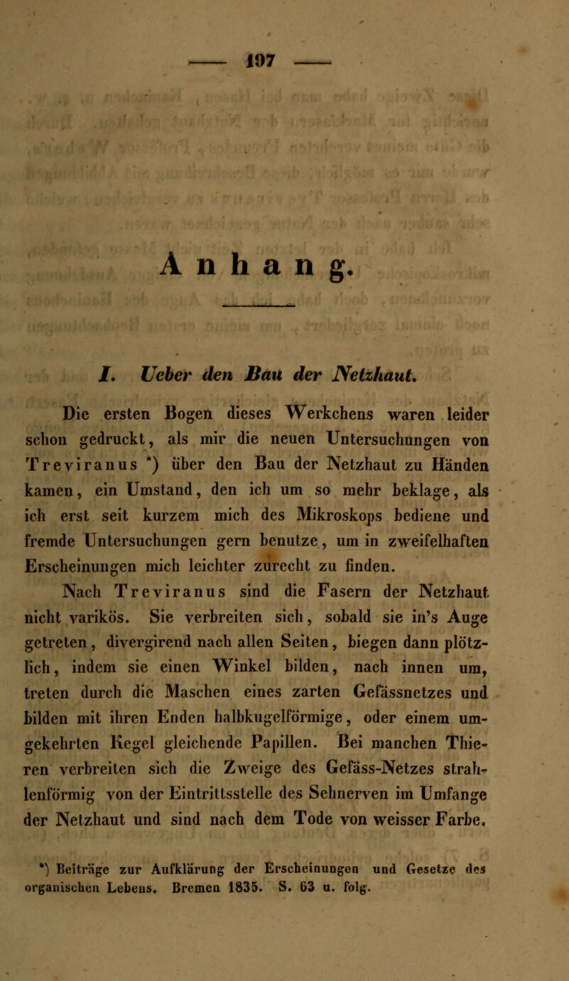 11)7 Anhang J. lieber den Bau der Netzhaut. Die ersten Bogen dieses Werkchens waren leider schon gedruckt, als mir die neuen Untersuchungen von Treviranus *) über den Bau der Netzhaut zu Händen kamen, ein Umstand, den ich um so mehr beklage, als ich erst seit kurzem mich des Mikroskops bediene und fremde Untersuchungen gern benutze, um in zweifelhaften Erscheinungen mich leichter zurecht zu finden. Nach Treviranus sind die Fasern der Netzhaut nicht varikös. Sie verbreiten sich, sobald sie in\s Auge getreten, divergirend nach allen Seiten, biegen dann plötz- lich , indem sie einen Winkel bilden, nach innen um, treten durch die Maschen eines zarten Gefässnetzes und bilden mit ihren Enden halbkugelförmige, oder einem um- gekehrten Kegel gleichende Papillen. Bei manchen Thie- ren verbreiten sich die Zweige des Gefäss-Netzes strah- lenförmig von der Eintrittsslelle des Sehnerven im Umfange der Netzhaut und sind nach dem Tode von weisser Farbe. *) Beiträge zur Aufklärung der Erscheinungen und Gesetze des organischen Lebens, Bremen 1835. S. ü3 u. folg.