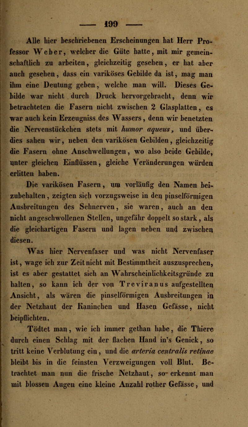 Alle hier beschriebenen Erscheinungen hat Herr Pro- fessor Weber, welcher die Güte hatte, mit mir gemein- schaftlich zu arbeiten, gleichzeitig gesehen, er hat aber auch gesehen, dass ein variköses Gebilde da ist, mag man ihm eine Deutung geben, welche man will. Dieses Ge- bilde war nicht durch Druck hervorgebracht, denn wir betrachteten die Fasern nicht zwischen 2 Glasplatten, es war auch kein Erzeugniss des Wassers, denn wir benetzten die Nervenstückchen stets mit humor aqueus 9 und über- dies sahen wir, neben den varikösen Gebilden, gleichzeitig die Fasern ohne Anschwellungen, wo also beide Gebilde, unter gleichen Einflüssen, gleiche Veränderungen würden erlitten haben. Die varikösen Fasern, um vorläufig den Namen bei- zubehalten , zeigten sich vorzugsweise in den pinselförmigen Ausbreitungen des Sehnerven, sie waren, auch an den nicht angeschwollenen Stellen, ungefähr doppelt so stark, als die gleichartigen Fasern und lagen neben und zwischen diesen. Was hier Nervenfaser und was nicht Nervenfaser ist, wage ich zur Zeit nicht mit Bestimmtheit auszusprechen, ist es aber gestattet sich an Wahrscheinlichkeitsgründe zu halten, so kann ich der von Treviranus aufgestellten Ansicht, als wären die pinselförmigen Ausbreitungen in der Netzhaut der Kaninchen und Hasen Gefässe, nicht beipflichten, Tödtet man, wie ich immer gethan habe, die Thiere durch einen Schlag mit der flachen Hand in's Genick, so tritt keine Verblutung ein, und die arteria centralis retinae bleibt bis in die feinsten Verzweigungen voll Blut. Be- trachtet man nun die frische Netzhaut, so- erkennt man mit blossen Augen eine kleine Anzahl rother Gefässe, und