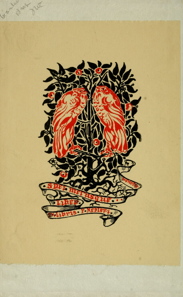 No text description is available for this image