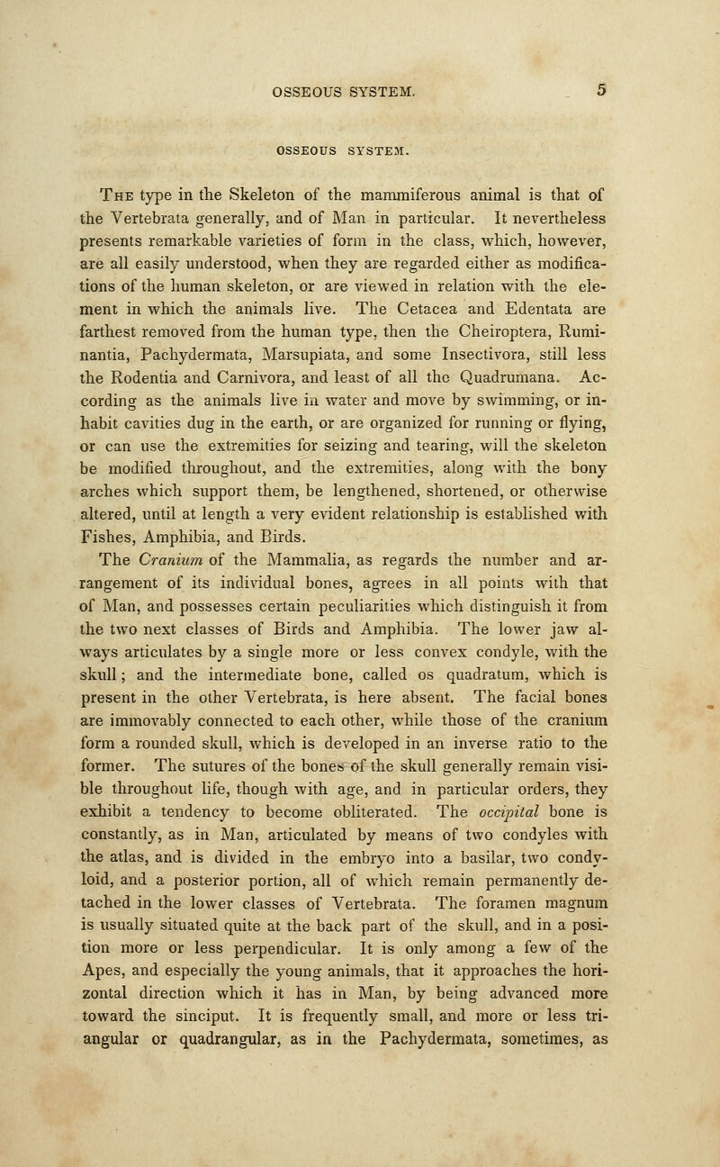OSSEOUS SYSTEM. The type in the Skeleton of the mammiferous animal is that of the Vertebrata generally, and of Man in particular. It nevertheless presents remarkable varieties of form in the class, which, however, are all easily understood, when they are regarded either as modifica- tions of the human skeleton, or are viewed in relation with the ele- ment in which the animals live. The Cetacea and Edentata are farthest removed from the human type, then the Cheiroptera, Rumi- nantia, Pachydermata, Marsupiata, and some Insectivora, still less the Rodentia and Carnivora, and least of all the Quadrumana. Ac- cording as the animals live in water and move by swimming, or in- habit cavities dug in the earth, or are organized for running or flying, or can use the extremities for seizing and tearing, will the skeleton be modified throughout, and the extremities, along with the bony arches which support them, be lengthened, shortened, or otherwise altered, until at length a very evident relationship is established with Fishes, Amphibia, and Birds. The Cranium of the Mammalia, as regards the number and ar- rangement of its individual bones, agrees in all points with that of Man, and possesses certain peculiarities which distinguish it from the two next classes of Birds and Amphibia. The lower jaw al- ways articulates by a single more or less convex condyle, with the skull; and the intermediate bone, called os quadratum, which is present in the other Vertebrata, is here absent. The facial bones are immovably connected to each other, while those of the cranium form a rounded skull, which is developed in an inverse ratio to the former. The sutures of the bones of the skull generally remain visi- ble throughout life, though with age, and in particular orders, they exhibit a tendency to become obliterated. The occipital bone is constantly, as in Man, articulated by means of two condyles with the atlas, and is divided in the embryo into a basilar, two condy- loid, and a posterior portion, all of which remain permanently de- tached in the lower classes of Vertebrata. The foramen magnum is usually situated quite at the back part of the skull, and in a posi- tion more or less perpendicular. It is only among a few of the Apes, and especially the young animals, that it approaches the hori- zontal direction which it has in Man, by being advanced more toward the sinciput. It is frequently small, and more or less tri- angular or quadrangular, as in the Pachydermata, sometimes, as