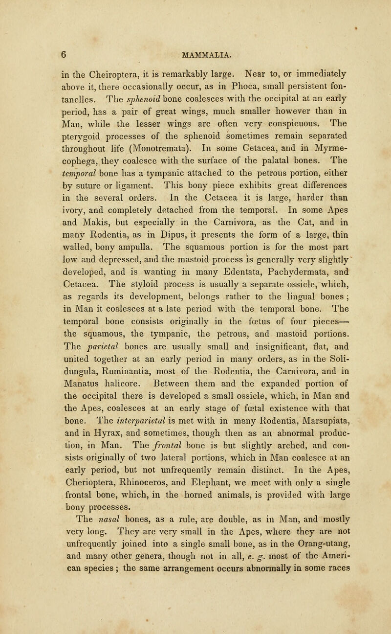 in the Cheiroptera, it is remarkably large. Near to, or immediately- above it, there occasionally occur, as in Phoca, small persistent fon- tanelles. The sphenoid bone coalesces with the occipital at an early period, has a pair of great wings, much smaller however than in Man, while the lesser wings are often very conspicuous. The pterygoid processes of the sphenoid sometimes remain separated throughout life (Monotremata). In some Cetacea, and in Myrme- cophega, they coalesce with the surface of the palatal bones. The temporal bone has a tympanic attached to the petrous portion, either by suture or ligament. This bony piece exhibits great differences in the several orders. In the Cetacea it is large, harder than ivory, and completely detached from the temporal. In some Apes and Makis, but especially in the Carnivora, as the Cat, and in many Rodentia, as in Dipus, it presents the form of a large, thin walled, bony ampulla. The squamous portion is for the most part low and depressed, and the mastoid process is generally very slightly developed, and is wanting in many Edentata, Pachydermata, and Cetacea. The styloid process is usually a separate ossicle, which, as regards its development, belongs rather to the lingual bones ; in Man it coalesces at a late period with the temporal bone. The temporal bone consists originally in the fcetus of four pieces— the squamous, the tympanic, the petrous, and mastoid portions. The parietal bones are usually small and insignificant, flat, and united together at an early period in many orders, as in the Soli- dungida, Ruminantia, most of the Rodentia, the Carnivora, and in Manatus halicore. Between them and the expanded portion of the occipital there is developed a small ossicle, which, in Man and the Apes, coalesces at an early stage of fretal existence with that bone. The interparietal is met with in many Rodentia, Marsupiata, and in Hyrax, and sometimes, though then as an abnormal produc- tion, in Man. The frontal bone is but slightly arched, and con- sists originally of two lateral portions, which in Man coalesce at an early period, but not unfrequently remain distinct. In the Apes, Cherioptera, Rhinoceros, and Elephant, we meet with only a single frontal bone, which, in the horned animals, is provided with large bony processes. The nasal bones, as a rule, are double, as in Man, and mostly very long. They are very small in the Apes, where they are not unfrequently joined into a single small bone, as in the Orang-utang, and many other genera, though not in all, e. g. most of the Ameri- can species ; the same arrangement occurs abnormally in some races