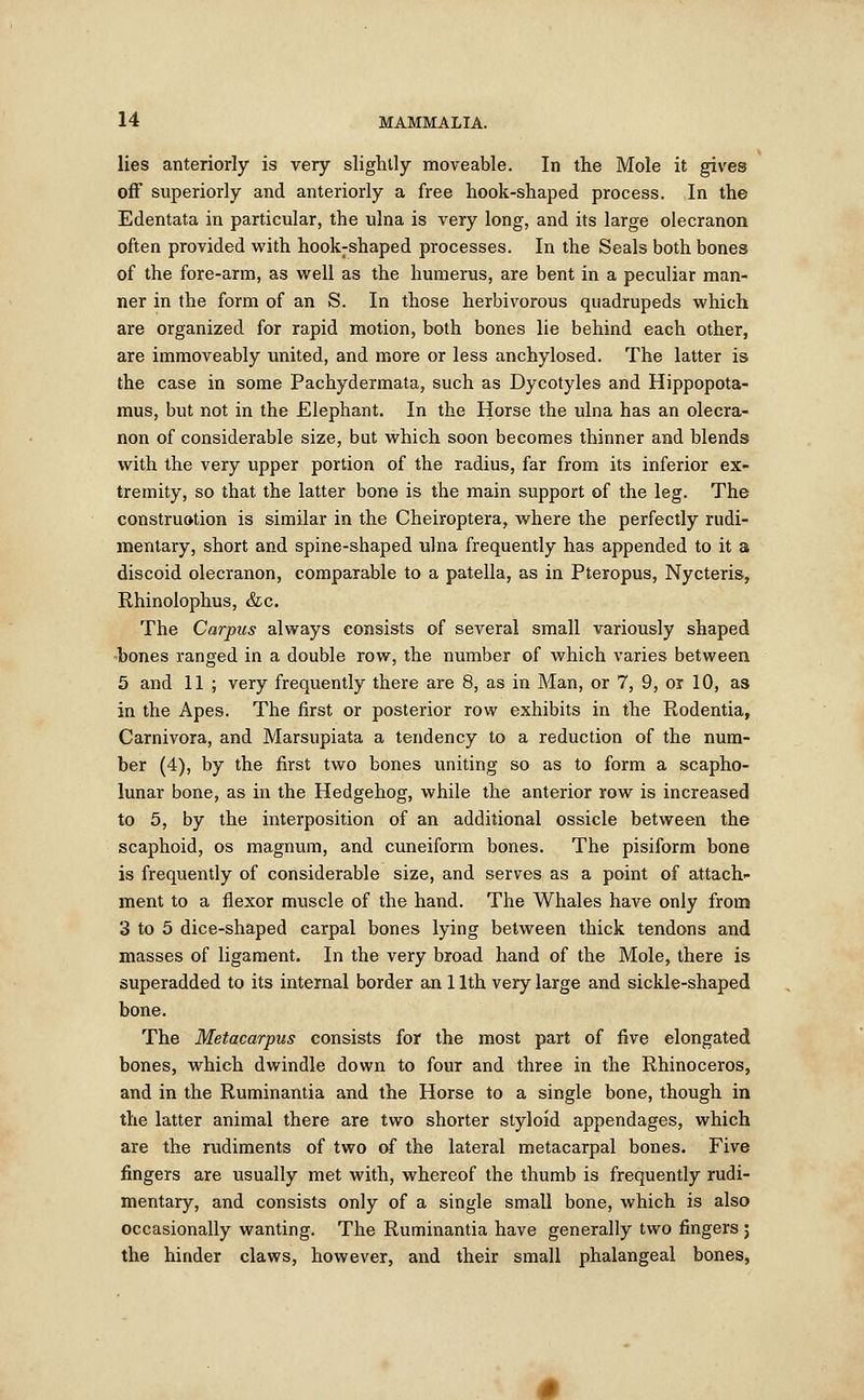 lies anteriorly is very slightly moveable. In the Mole it gives off superiorly and anteriorly a free hook-shaped process. In the Edentata in particular, the ulna is very long, and its large olecranon often provided with hook:shaped processes. In the Seals both bones of the fore-arm, as well as the humerus, are bent in a peculiar man- ner in the form of an S. In those herbivorous quadrupeds which are organized for rapid motion, both bones lie behind each other, are immoveably united, and more or less anchylosed. The latter is the case in some Pachydermata, such as Dycotyles and Hippopota- mus, but not in the Elephant. In the Horse the ulna has an olecra- non of considerable size, but which soon becomes thinner and blends with the very upper portion of the radius, far from its inferior ex- tremity, so that the latter bone is the main support of the leg. The construction is similar in the Cheiroptera, where the perfectly rudi- mentary, short and spine-shaped ulna frequently has appended to it a discoid olecranon, comparable to a patella, as in Pteropus, Nycteris, Rhinolophus, &c. The Carpus always consists of several small variously shaped bones ranged in a double row, the number of which varies between 5 and 11 ; very frequently there are 8, as in Man, or 7, 9, or 10, as in the Apes. The first or posterior row exhibits in the Rodentia, Carnivora, and Marsupiata a tendency to a reduction of the num- ber (4), by the first two bones uniting so as to form a scapho- lunar bone, as in the Hedgehog, while the anterior row is increased to 5, by the interposition of an additional ossicle between the scaphoid, os magnum, and cuneiform bones. The pisiform bone is frequently of considerable size, and serves as a point of attach- ment to a flexor muscle of the hand. The Whales have only from 3 to 5 dice-shaped carpal bones lying between thick tendons and masses of ligament. In the very broad hand of the Mole, there is superadded to its internal border an 11th very large and sickle-shaped bone. The Metacarpus consists for the most part of five elongated bones, which dwindle down to four and three in the Rhinoceros, and in the Ruminantia and the Horse to a single bone, though in the latter animal there are two shorter styloid appendages, which are the rudiments of two of the lateral metacarpal bones. Five fingers are usually met with, whereof the thumb is frequently rudi- mentary, and consists only of a single small bone, which is also occasionally wanting. The Ruminantia have generally two fingers ; the hinder claws, however, and their small phalangeal bones,