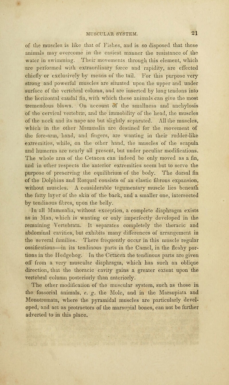 of the muscles is like that of Fishes, and is so disposed that these animals may overcome in the easiest manner the resistance of the water in swimming. Their movements through this element, which are performed with extraordinary force and rapidity, are effected chiefly or exclusively by means of the tail. For this purpose very strong and powerful muscles are situated upon the upper and under surface of the vertebral column, and are inserted by long tendons into the horizontal caudal fin, with which these animals can give the most tremendous blows. On account of the smallness and anchylosis of the cervical vertebra?, and the immobility of the head, the muscles of the neck and its nape are but slightly separated. All the muscles, which in the other Mammalia are destined for the movement of the fore-arm, hand, and fingers, are wanting in their rudder-like extremities, while, on the other hand, the muscles of the scapula and humerus are nearly all present, but under peculiar modifications. The whole arm of the Cetacea can indeed be only moved as a fin, and in other respects the anterior extremities seem but to serve the purpose of preserving the equilibrium of the body. The dorsal fin of the Dolphins and Rorqual consists of an elastic fibrous expansion, without muscles. A considerable tegumentary muscle lies beneath the fatty layer of the skin of the back, and a smaller one, intersected by tendinous fibres, upon the belly. In all Mammalia, without exception, a complete diaphragm exists as in Man, which is wanting or only imperfectly developed in the remaining Vertebrata. It separates completely the thoracic and abdominal cavities, but exhibits many differences of arrangement in the several families. There frequently occur in this muscle regular ossifications—in its tendinous parts in the Camel, in the fleshy por- tions in the Hedgehog. In the Cetacea the tendinous parts are given off from a very muscular diaphragm, which has such an oblique direction, that the thoracic cavity gains a greater extent upon the vertebral column posteriorly than anteriorly. The other modification of the muscular system, such as those in the fossorial animals, e. g. the Mole, and in the Marsupiata and Monotremata, where the pyramidal muscles are particularly devel- oped, and act as protractors of the marsupial bones, can not be further adverted to in this place.