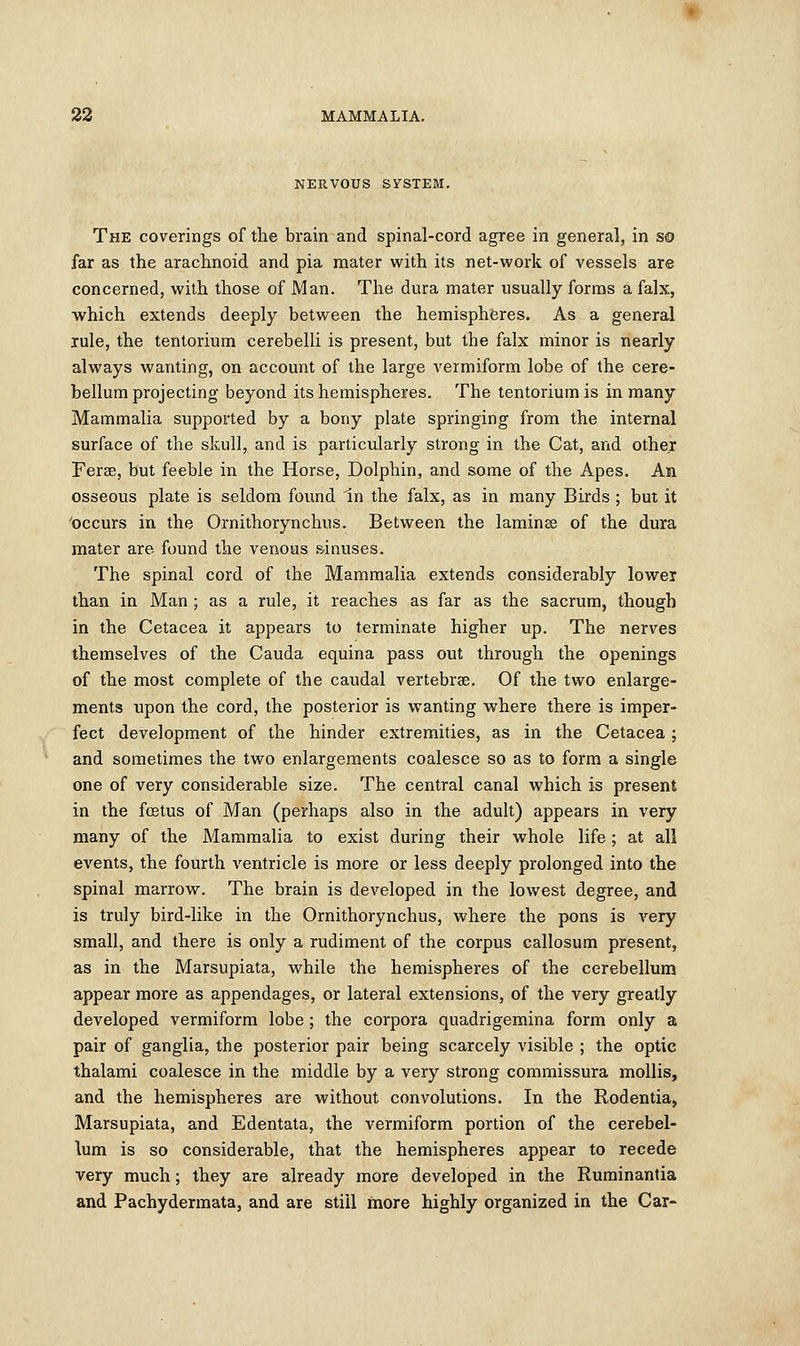 NERVOUS SYSTEM. The coverings of the brain and spinal-cord agree in general, in so far as the arachnoid and pia mater with its net-work of vessels are concerned, with those of Man. The dura mater usually forms a falx, which extends deeply between the hemispheres. As a general rule, the tentorium cerebelli is present, but the falx minor is nearly always wanting, on account of the large vermiform lobe of the cere- bellum projecting beyond its hemispheres. The tentorium is in many Mammalia supported by a bony plate springing from the internal surface of the skull, and is particularly strong in the Cat, and other Ferse, but feeble in the Horse, Dolphin, and some of the Apes. An osseous plate is seldom found In the falx, as in many Birds ; but it 'occurs in the Ornithorynchus. Between the laminae of the dura mater are found the venous sinuses. The spinal cord of the Mammalia extends considerably lower than in Man ; as a rule, it reaches as far as the sacrum, though in the Cetacea it appears to terminate higher up. The nerves themselves of the Cauda equina pass out through the openings of the most complete of the caudal vertebras. Of the two enlarge- ments upon the cord, the posterior is wanting where there is imper- fect development of the hinder extremities, as in the Cetacea ; and sometimes the two enlargements coalesce so as to form a single one of very considerable size. The central canal which is present in the foetus of Man (perhaps also in the adult) appears in very many of the Mammalia to exist during their whole life; at all events, the fourth ventricle is more or less deeply prolonged into the spinal marrow. The brain is developed in the lowest degree, and is truly bird-like in the Ornithorynchus, where the pons is very small, and there is only a rudiment of the corpus callosum present, as in the Marsupiata, while the hemispheres of the cerebellum appear more as appendages, or lateral extensions, of the very greatly developed vermiform lobe; the corpora quadrigemina form only a pair of ganglia, the posterior pair being scarcely visible ; the optic thalami coalesce in the middle by a very strong commissura mollis, and the hemispheres are without convolutions. In the Rodentia, Marsupiata, and Edentata, the vermiform portion of the cerebel- lum is so considerable, that the hemispheres appear to recede very much; they are already more developed in the Ruminantia and Pachydermata, and are still more highly organized in the Car-