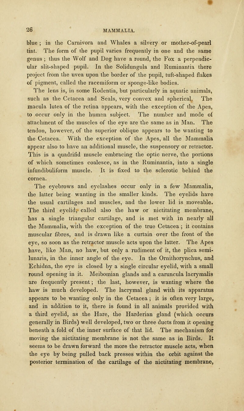 blue ; in the Carnivora and Whales a silvery or mother-of-pearl tint. The form of the pupil varies frequently in one and the same genus ; thus the Wolf and Dog have a round, the Fox a perpendic- ular slit-shaped pupil. In the Solidungula and Ruminantia there project from the uvea upon the border of the pupil, tuft-shaped flakes of pigment, called the racemiform or sponge-like bodies. The lens is, in some Rodentia, but particularly in aquatic animals, such as the Cetacea and Seals, very convex and spherical. The macula lutea of the retina appears, with the exception of the Apes, to occur only in the human subject. The number and mode of attachment of the muscles of the eye are the same as in Man. The tendon, however, of the superior oblique appears to be wanting to the Cetacea. With the exception of the Apes, all the Mammalia appear also to have an additional muscle, the suspensory or retractor. This is a quadrifid muscle embracing the optic nerve, the portions of which sometimes coalesce, as in the Ruminantia, into a single infundibuliform muscle. It is fixed to the sclerotic behind the cornea. The eyebrows and eyelashes occur only in a few Mammalia, the latter being wanting in the smaller kinds. The eyelids have the usual cartilages and muscles, and the lower lid is moveable. The third eyelid, called also the haw or nictitating membrane, has a single triangular cartilage, and is met with in nearly all the Mammalia, with the exception of the true Cetacea ; it contains muscular fibres, and is drawn like a curtain over the front of the eye, so soon as the retractor muscle acts upon the latter. The Apes have, like Man, no haw, but only a rudiment of it, the plica semi- lunaris, in the inner angle of the eye. In the Ornithorynchus, and Echidna, the eye is closed by a single circular eyelid, with a small round opening in it. Meibomian glands and a caruncula lacrymalis are frequently present; the last, however, is wanting where the haw is much developed. The lacrymal gland with its apparatus appears to be wanting only in the Cetacea ; it is often very large, and in addition to it, there is found in all animals provided with a third eyelid, as the Hare, the Harderian gland (which occurs generally in Birds) well developed, two or three ducts from it opening beneath a fold of the inner surface of that lid. The mechanism for moving the nictitating membrane is not the same as in Birds. It seems to be drawn forward the more the retractor muscle acts, when the eye by being pulled back presses within the orbit against the posterior termination of the cartilage of the nictitating membrane,