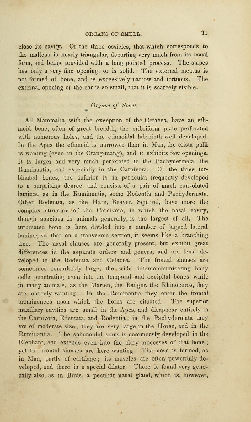 close its cavity. Of the three ossicles, that which corresponds to the malleus is nearly triangular, departing very much from its usual form, and being provided with a long pointed process. The stapes has only a very fine opening, or is solid. The external meatus is not formed of bone, and is excessively narrow and tortuous. The external opening of the ear is so small, that it is scarcely visible. •■■• Organs of Smell. All Mammalia, with the exception of the Cetacea, have an eth- moid bone, often of great breadth, the cribriform plate perforated with numerous holes, and the ethmoidal labyrinth well developed. In the Apes the ethmoid is narrower than in Man, the crista galli is wanting (even in the Orang-utang), and it exhibits few openings. It is larger and very much perforated in the Pachydermata, the Ruminantia, and especially in the Carnivora. Of the three tur- binated bones, the inferior is in particular frequently developed to a surprising degree, and consists of a pair of much convoluted laminae, as in the Ruminantia, some Rodentia and Pachydermata. Other Rodentia, as the Hare, Beaver, Squirrel, have more the complex structure of the Carnivora, in which the nasal cavity, though spacious in animals generally, is the largest of all. The turbinated bone is here divided into a number of jagged lateral lamince, so that, on a transverse section, it seems like a branching tree. The nasal sinuses are generally present, but exhibit great differences in the separate orders and genera, and are least de- veloped in the Rodentia and Cetacea. The frontal sinuses are sometimes remarkably large, the wide intercommunicating bony cells penetrating even into the temporal and occipital bones, while in many animals, as the Marten, the Badger, the Rhinoceros, they are entirely wanting. In the Ruminantia they enter the frontal prominences upon which the horns are situated. The superior maxillary cavities are small in the Apes, and disappear entirely in the Carnivora, Edentata, and Rodentia ; in the Pachydermata they are of moderate size; they are very large in the Horse, and in the Ruminantia. The sphenoidal sinus is enormously developed in the Elephant, and extends even into the alary processes of that bone ; yet the frontal sinuses are here wanting. The nose is formed, as in Man, partly of cartilage ; its muscles are often powerfully de- veloped, and there is a special dilator. There is found very gene- rally also, as in Birds, a peculiar nasal gland, which is, however,