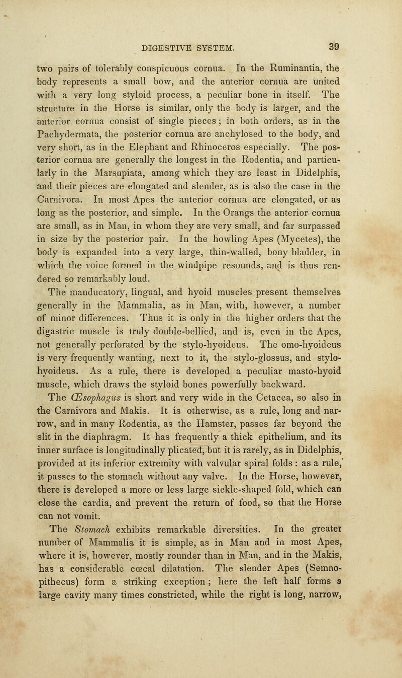 two pairs of tolerably conspicuous cornua. In the Ruminantia, the body represents a small bow, and the anterior cornua are united with a very long styloid process, a peculiar bone in itself. The structure in the Horse is similar, only the body is larger, and the anterior cornua consist of single pieces ; in both orders, as in the Pachydermata, the posterior cornua are anchylosed to the body, and very short, as in the Elephant and Rhinoceros especially. The pos- terior cornua are generally the longest in the Rodentia, and particu- larly in the Marsupiata, among which they are least in Didelphis, and their pieces are elongated and slender, as is also the case in the Carnivora. In most Apes the anterior cornua are elongated, or as long as the posterior, and simple. In the Orangs the anterior cornua are small, as in Man, in whom they are very small, and far surpassed in size by the posterior pair. In the howling Apes (Mycetes), the body is expanded into a very large, thin-walled, bony bladder, in which the voice formed in the windpipe resounds, and is thus ren- dered so remarkably loud. The manducatory, lingual, and hyoid muscles present themselves generally in the Mammalia, as in Man, with, however, a number of minor differences. Thus it is only in the higher orders that the digastric muscle is truly double-bellied, and is, even in the Apes, not generally perforated by the stylo-hyoideus. The omo-hyoideus is very frequently wanting, next to it, the stylo-glossus, and stylo- hyoideus. As a rule, there is developed a peculiar masto-hyoid muscle, which draws the styloid bones powerfully backward. The Oesophagus is short and very wide in the Cetacea, so also in the Carnivora and Makis. It is otherwise, as a rule, long and nar- row, and in many Rodentia, as the Hamster, passes far beyond the slit in the diaphragm. It has frequently a thick epithelium, and its inner surface is longitudinally plicated, but it is rarely, as in Didelphis, provided at its inferior extremity with valvular spiral folds : as a rule,' it passes to the stomach without any valve. In the Horse, however, there is developed a more or less large sickle-shaped fold, which can close the cardia, and prevent the return of food, so that the Horse can not vomit. The Sto?nach exhibits remarkable diversities. In the greater number of Mammalia it is simple, as in Man and in most Apes, where it is, however, mostly rounder than in Man, and in the Makis, has a considerable coecal dilatation. The slender Apes (Semno- pithecus) form a striking exception; here the left half forms a large cavity many times constricted, while the right is long, narrow,