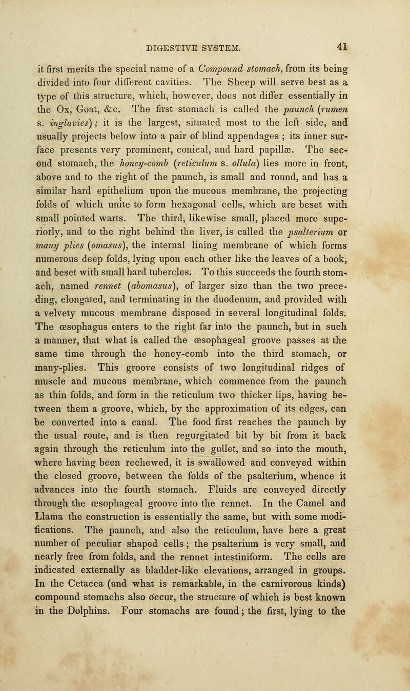 it first merits the special name of a Compound stomach, from its being divided into four different cavities. The Sheep will serve best as a type of this structure, which, however, does not differ essentially in the Ox, Goat, &c. The first stomach is called the paunch {rumen s. ingluvies); it is the largest, situated most to the left side, and usually projects below into a pair of blind appendages ; its inner sur- face presents very prominent, conical, and hard papillae. The sec- ond stomach, the honey-comb {reticulum s. ollula) lies more in front, above and to the right of the paunch, is small and round, and has a similar hard epithelium upon the mucous membrane, the projecting folds of which unite to form hexagonal cells, which are beset with small pointed warts. The third, likewise small, placed more supe- riorly, and to the right behind the liver, is called the psalterium or many plies {omastis), the internal lining membrane of which forms numerous deep folds, lying upon each other like the leaves of a book, and beset with small hard tubercles. To this succeeds the fourth stom- ach, named rennet {abomasus), of larger size than the two prece- ding, elongated, and terminating in the duodenum, and provided with a velvety mucous membrane disposed in several longitudinal folds. The oesophagus enters to the right far into the paunch, but in such a manner, that what is called the oesophageal groove passes at the same time through the honey-comb into the third stomach, or many-plies. This groove consists of two longitudinal ridges of muscle and mucous membrane, which commence from the paunch as thin folds, and form in the reticulum two thicker lips, having be- tween them a groove, which, by the approximation of its edges, can be converted into a canal. The food first reaches the paunch by the usual route, and is then regurgitated bit by bit from it back again through the reticulum into the gullet, and so into the mouth, where having been rechewed, it is swallowed and conveyed within the closed groove, between the folds of the psalterium, whence it advances into the fourth stomach. Fluids are conveyed directly through the oesophageal groove into the rennet. In the Camel and Llama the construction is essentially the same, but with some modi- fications. The paunch, and also the reticulum, have here a great number of peculiar shaped cells; the psalterium is very small, and nearly free from folds, and the rennet intestiniform. The cells are indicated externally as bladder-like elevations, arranged in groups. In the Cetacea (and what is remarkable, in the carnivorous kinds) compound stomachs also occur, the structure of which is best known in the Dolphins. Four stomachs are found; the first, lying to the