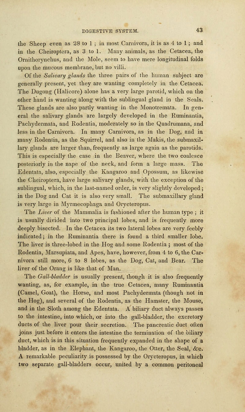 the Sheep even as 28 to 1 ; in most Carnivora, it is as 4 to 1 ; and in the Cheiroptera, as 3 to 1. Many animals, as the Cetacea, the Ornithorynchus, and the Mole, seem to have mere longitudinal folds upon the mucous membrane, but no villi. Of the Salivary glands the three pairs of the human subject are generally present, yet they are wanting completely in the Cetacea. The Dugong (Halicore) alone has a very large parotid, which on the other hand is wanting along with the sublingual gland in the Seals. These glands are also partly wanting in the Monotremata. In gen- eral the salivary glands are largely developed in the Ruminantia, Pachydermata, and Rodentia, moderately so in the Quadrumana, and less in the Carnivora. In many Carnivora, as in the Dog, and in many Rodentia, as the Squirrel, and also in the Makis, the submaxil- lary glands are larger than, frequently as large again as the parotids. This is especially the case in the Beaver, where the two coalesce posteriorly in the nape of the neck, and form a large mass. The Edentata, also, especially the Kangaroo and Opossum, as likewise the Cheiroptera, have large salivary glands, with the exception of the sublingual, which, in the last-named order, is very slightly developed ; in the Dog and Cat it is also very small. The submaxillary gland is very large in Myrmecophaga and Orycteropus. The Liver of the Mammalia is fashioned after the human type ; it is usually divided into two principal lobes, and is frequently more deeply bisected. In the Cetacea its two lateral lobes are very feebly indicated; in the Ruminantia there is found a third smaller lobe. The liver is three-lobed in the Hog and some Rodentia; most of the Rodentia, Marsupiata, and Apes, have, however, from 4 to 6, the Car- nivora still more, 6 to 8 lobes, as the Dog, Cat, and Bear. The liver of the Orang is like that of Man. The Gall-bladder is usually present, though it is also frequently wanting, as, for example, in the true Cetacea, many Ruminantia (Camel, Goat), the Horse, and most Pachydermata (though not in the Hog), and several of the Rodentia, as the Hamster, the Mouse, and in the Sloth among the Edentata. A biliary duct always passes to the intestine, into which, or into the gall-bladder, the excretory ducts of the liver pour their secretion. The pancreatic duct often joins just before it enters the intestine the termination of the biliary duct, which is in this situation frequently expanded in the shape of a bladder, as in the Elephant, the Kangaroo, the Otter, the Seal, &c. A remarkable peculiarity is possessed by the Orycteropus, in which two separate gall-bladders occur, united by a common peritoneal