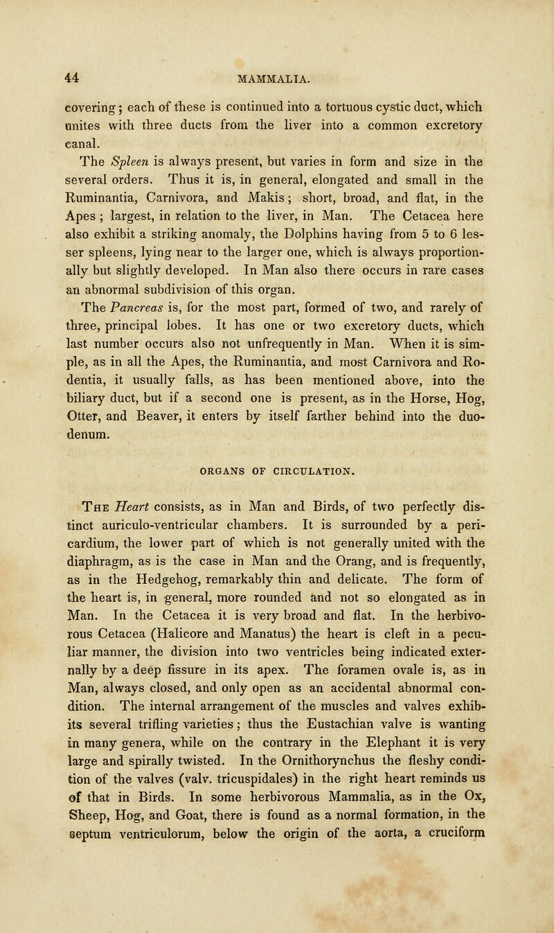 covering; each of these is continued into a tortuous cystic duct, which unites with three ducts from the liver into a common excretory eanal. The Spleen is always present, but varies in form and size in the several orders. Thus it is, in general, elongated and small in the Ruminantia, Carnivora, and Makis; short, broad, and flat, in the Apes ; largest, in relation to the liver, in Man. The Cetacea here also exhibit a striking anomaly, the Dolphins having from 5 to 6 les- ser spleens, lying near to the larger one, which is always proportion- ally but slightly developed. In Man also there occurs in rare cases an abnormal subdivision of this organ. The Pancreas is, for the most part, formed of two, and rarely of three, principal lobes. It has one or two excretory ducts, which last number occurs also not unfrequently in Man. When it is sim- ple, as in all the Apes, the Ruminantia, and most Carnivora and Ro- dentia, it usually falls, as has been mentioned above, into the biliary duct, but if a second one is present, as in the Horse, Hog, Otter, and Beaver, it enters by itself farther behind into the duo- denum. ORGANS OF CIRCULATION. The Heart consists, as in Man and Birds, of two perfectly dis- tinct auriculo-ventricular chambers. It is surrounded by a peri- cardium, the lower part of which is not generally united with the diaphragm, as is the case in Man and the Orang, and is frequently, as in the Hedgehog, remarkably thin and delicate. The form of the heart is, in general, more rounded and not so elongated as in Man. In the Cetacea it is very broad and fiat. In the herbivo- rous Cetacea (Halicore and Manatus) the heart is cleft in a pecu- liar manner, the division into two ventricles being indicated exter- nally by a deep fissure in its apex. The foramen ovale is, as iu Man, always closed, and only open as an accidental abnormal con- dition. The internal arrangement of the muscles and valves exhib- its several trifling varieties; thus the Eustachian valve is wanting in many genera, while on the contrary in the Elephant it is very large and spirally twisted. In the Ornithorynchus the fleshy condi- tion of the valves (valv. tricuspidales) in the right heart reminds us of that in Birds. In some herbivorous Mammalia, as in the Ox, Sheep, Hog, and Goat, there is found as a normal formation, in the septum ventriculorum, below the origin of the aorta, a cruciform