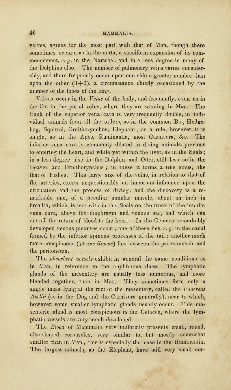 valves, agrees for the most part with that of Man, though there sometimes occurs, as in the aorta, a sacciform expansion of its com- mencement, e. g. in the Narwhal, and in a less degree in many of the Dolphins also. The number of pulmonary veins varies consider- ably, and there frequently occur upon one side a greater number than upon the other (3+2), a circumstance chiefly occasioned by the number of the lobes of the lung. Valves occur in the Veins of the body, and frequently, even as in the Ox, in the portal veins, where they are wanting in Man. The trunk of the superior vena cava is very frequently double, in indi- vidual animals from all the orders, as in the common Bat, Hedge- hog, Squirrel, Ornithorynchus, Elephant; as a rule, however, it is single, as in the Apes, Ruminantia, most Carnivora, &c. The inferior vena cava is commonly dilated in diving animals, previous to entering the heart, and while yet within the liver, as in the Seals; in a less degree also in the Dolphin and Otter, still less so in the Beaver and Ornithorynchus ; in these it forms a true sinus, like that of Fishes. This large size of the veins, in relation to that of the arteries, exerts unquestionably an important influence upon the circulation and the process of diving; and the discovery is a re- markable one, of a peculiar annular muscle, about an inch in breadth, which is met with in the Seals on the trunk of the inferior vena cava, above the diaphragm and venous sac, and which can cut off the return of blood to the heart. In the Cetacea remarkably developed venous plexuses occur; one of these lies, e. g. in the canal formed by the inferior spinous processes of the tail; another much more conspicuous (plexus iliacus) lies between the psoas muscle and the peritoneum. The absorbent vessels exhibit in general the same conditions as in Man, in reference to the chyliferous ducts. The lymphatic glands of the mesentery are usually less numerous, and more blended together, than in Man. They sometimes form only a single mass lying at the root of the mesentery, called the Pancreas Asellii (as in the Dog and the Carnivora generally), near to which, however, some smaller lymphatic glands usually occur. This me- senteric gland is most conspicuous in the Cetacea, where the lym- phatic vessels are very much developed. The Blood of Mammalia very uniformly presents small, round, disc-shaped corpuscles, very similar to, but mostly somewhat smaller than in Man; this is especially the case in the Ruminantia. The largest animals, as the Elephant, have still very small cor-