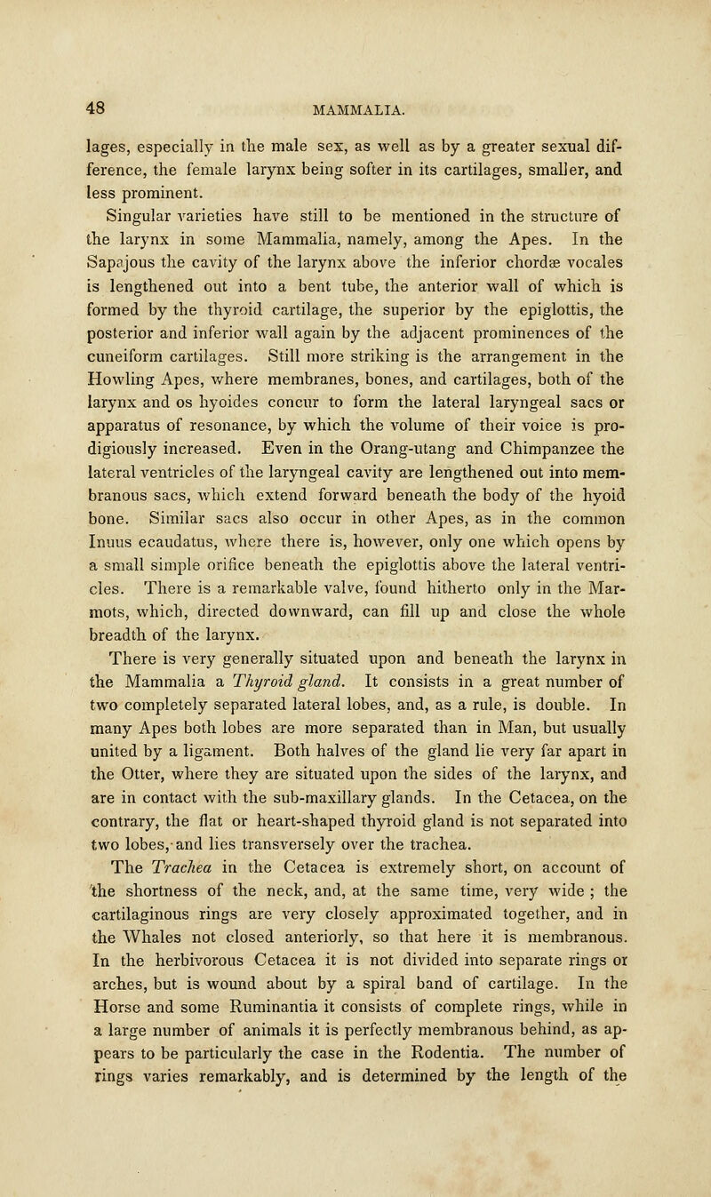 lages, especially in the male sex, as well as by a greater sexual dif- ference, the female larynx being softer in its cartilages, smaller, and less prominent. Singular varieties have still to be mentioned in the structure of the larynx in some Mammalia, namely, among the Apes. In the Sapajous the cavity of the larynx above the inferior chorda? vocales is lengthened out into a bent tube, the anterior wall of which is formed by the thyroid cartilage, the superior by the epiglottis, the posterior and inferior wall again by the adjacent prominences of the cuneiform cartilages. Still more striking is the arrangement in the Howling Apes, where membranes, bones, and cartilages, both of the larynx and os hyoides concur to form the lateral laryngeal sacs or apparatus of resonance, by which the volume of their voice is pro- digiously increased. Even in the Orang-utang and Chimpanzee the lateral ventricles of the laryngeal cavity are lengthened out into mem- branous sacs, which extend forward beneath the body of the hyoid bone. Similar sacs also occur in other Apes, as in the common Inuus ecaudatus, where there is, however, only one which opens by a small simple orifice beneath the epiglottis above the lateral ventri- cles. There is a remarkable valve, found hitherto only in the Mar- mots, which, directed downward, can fill up and close the whole breadth of the larynx. There is very generally situated upon and beneath the larynx in the Mammalia a Thyroid gland. It consists in a great number of two completely separated lateral lobes, and, as a rule, is double. In many Apes both lobes are more separated than in Man, but usually united by a ligament. Both halves of the gland lie very far apart in the Otter, where they are situated upon the sides of the larynx, and are in contact with the sub-maxillary glands. In the Cetacea, on the contrary, the fiat or heart-shaped thyroid gland is not separated into two lobes,-and lies transversely over the trachea. The Trachea in the Cetacea is extremely short, on account of 'the shortness of the neck, and, at the same time, very wide ; the cartilaginous rings are very closely approximated together, and in the Whales not closed anteriorly, so that here it is membranous. In the herbivorous Cetacea it is not divided into separate rings or arches, but is wound about by a spiral band of cartilage. In the Horse and some Ruminantia it consists of complete rings, while in a large number of animals it is perfectly membranous behind, as ap- pears to be particularly the case in the Rodentia. The number of rings varies remarkably, and is determined by the length of the