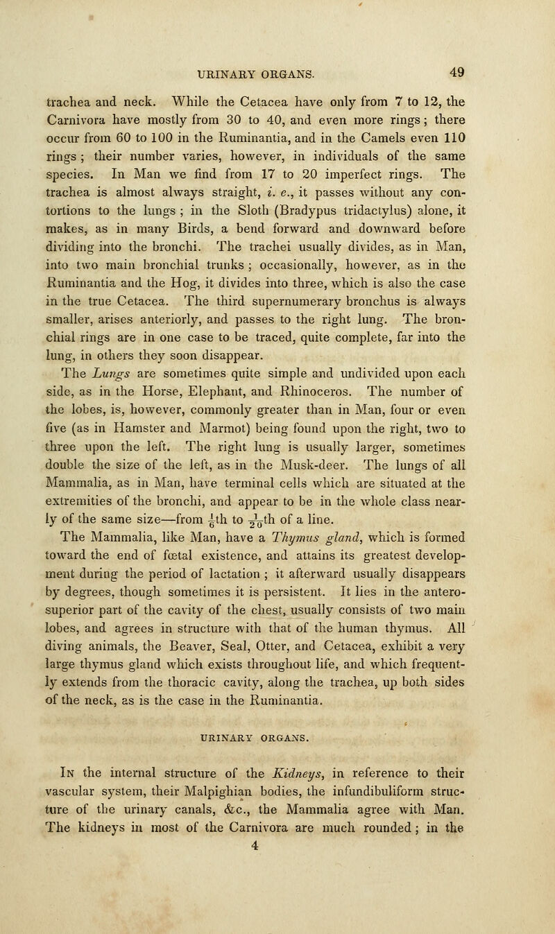 trachea and neck. While the Cetacea have only from 7 to 12, the Carnivora have mostly from 30 to 40, and even more rings; there occur from 60 to 100 in the Ruminantia, and in the Camels even 110 rings ; their number varies, however, in individuals of the same species. In Man we find from 17 to 20 imperfect rings. The trachea is almost always straight, i. e., it passes without any con- tortions to the lungs ; in the Sloth (Bradypus tridactylus) alone, it makes, as in many Birds, a bend forward and downward before dividing into the bronchi. The trachei usually divides, as in Man, into two main bronchial trunks ; occasionally, however, as in the Ruminantia and the Hog, it divides into three, which is also the case in the true Cetacea. The third supernumerary bronchus is always smaller, arises anteriorly, and passes to the right lung. The bron- chial rings are in one case to be traced, quite complete, far into the lung, in others they soon disappear. The Lungs are sometimes quite simple and undivided upon each side, as in the Horse, Elephant, and Rhinoceros. The number of the lobes, is, however, commonly greater than in Man, four or even five (as in Hamster and Marmot) being found upon the right, two to three upon the left. The right lung is usually larger, sometimes double the size of the left, as in the Musk-deer. The lungs of all Mammalia, as in Man, have terminal cells which are situated at the extremities of the bronchi, and appear to be in the whole class near- ly of the same size—from ^th to -J^th of a line. The Mammalia, like Man, have a Thymus gland, which is formed toward the end of foetal existence, and attains its greatest develop- ment during the period of lactation ; it afterward usually disappears by degrees, though sometimes it is persistent. It lies in the antero- superior part of the cavity of the chest, usually consists of two main lobes, and agrees in structure with that of the human thymus. All diving animals, the Beaver, Seal, Otter, and Cetacea, exhibit a very large thymus gland which exists throughout life, and which frequent- ly extends from the thoracic cavity, along the trachea, up both sides of the neck, as is the case in the Ruminantia. URINARY ORGANS. In the internal structure of the Kidneys, in reference to their vascular system, their Malpighian bodies, the infundibuliform struc- ture of the urinary canals, &c, the Mammalia agree with Man. The kidneys in most of the Carnivora are much rounded ; in the 4