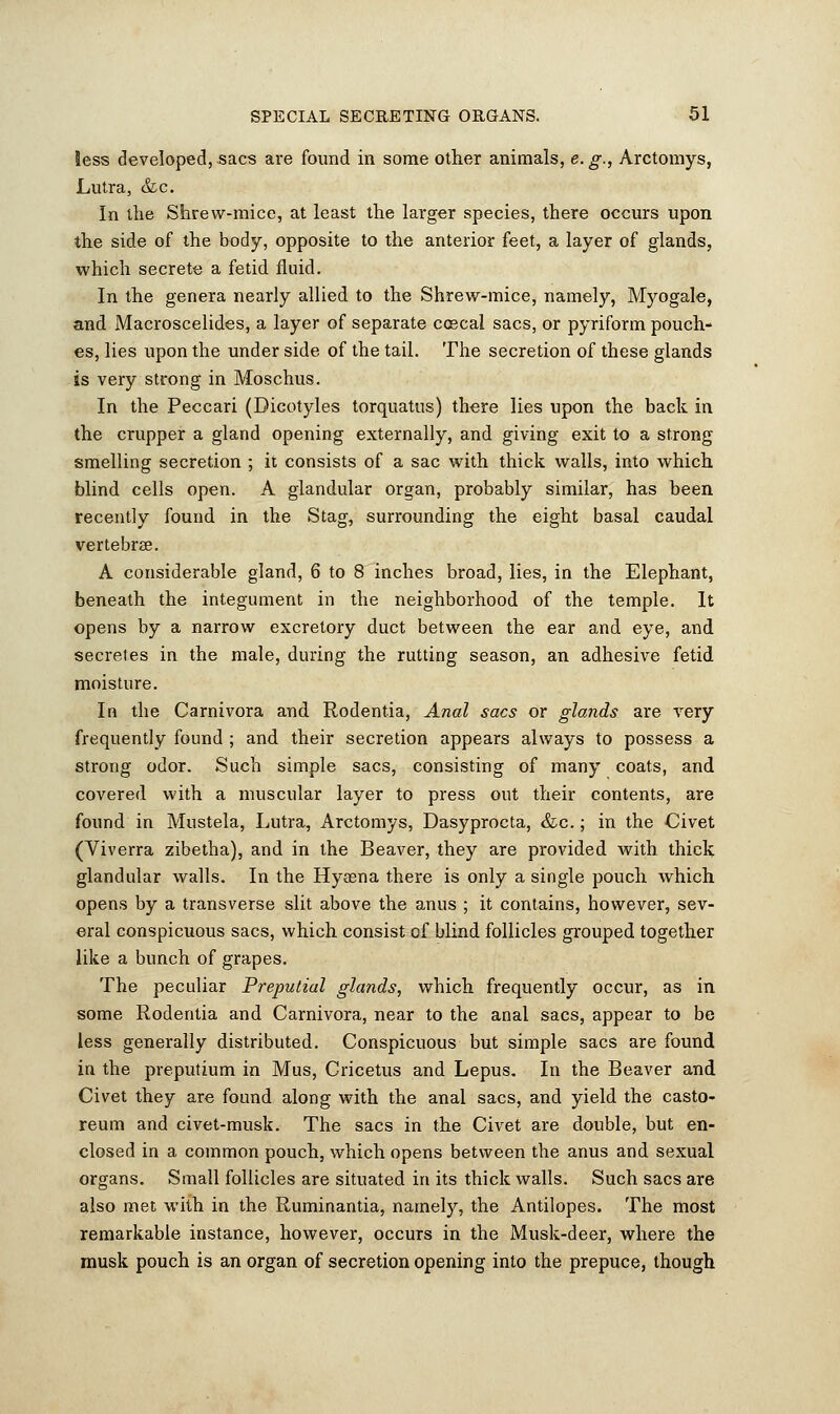 less developed, sacs are found in some other animals, e. g., Arctomys, Lutra, &c. In the Shrew-mice, at least the larger species, there occurs upon the side of the body, opposite to the anterior feet, a layer of glands, which secrete a fetid fluid. In the genera nearly allied to the Shrew-mice, namely, Myogale, and Macroscelides, a layer of separate caeca! sacs, or pyriform pouch- es, lies upon the under side of the tail. The secretion of these glands is very strong in Moschus. In the Peccari (Dicotyles torquatus) there lies upon the back in the crupper a gland opening externally, and giving exit to a strong smelling secretion ; it consists of a sac with thick walls, into which blind cells open. A glandular organ, probably similar, has been recently found in the Stag, surrounding the eight basal caudal vertebrae. A considerable gland, 6 to 8 inches broad, lies, in the Elephant, beneath the integument in the neighborhood of the temple. It opens by a narrow excretory duct between the ear and eye, and secretes in the male, during the rutting season, an adhesive fetid moisture. In the Carnivora and Rodentia, Anal sacs or glands are very frequently found ; and their secretion appears always to possess a strong odor. Such simple sacs, consisting of many coats, and covered with a muscular layer to press out their contents, are found in Mustela, Lutra, Arctomys, Dasyprocta, &c.; in the Civet (Viverra zibetha), and in the Beaver, they are provided with thick glandular walls. In the Hyasna there is only a single pouch which opens by a transverse slit above the anus ; it contains, however, sev- eral conspicuous sacs, which consist of blind follicles grouped together like a bunch of grapes. The peculiar Preputial glands, which frequently occur, as in some Rodentia and Carnivora, near to the anal sacs, appear to be less generally distributed. Conspicuous but simple sacs are found in the preputium in Mus, Cricetus and Lepus. In the Beaver and Civet they are found along with the anal sacs, and yield the casto- reum and civet-musk. The sacs in the Civet are double, but en- closed in a common pouch, which opens between the anus and sexual organs. Small follicles are situated in its thick walls. Such sacs are also met with in the Ruminantia, namely, the Antilopes. The most remarkable instance, however, occurs in the Musk-deer, where the musk pouch is an organ of secretion opening into the prepuce, though