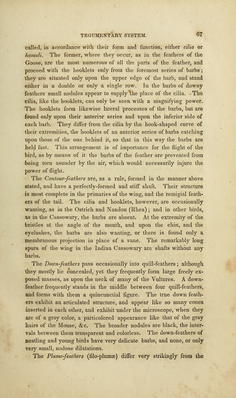 called, in accordance with their form and function, either cilia or hamuli. The former, where they occur, as in the feathers of the Goose, are the most numerous of all the parts of the feather, and proceed with the hooklets only from the foremost series of barbs; they are situated only upon the upper edge of the barb, and stand either in a double or only a single row. In the barbs of downy feathers small nodules appear to supply the place of the cilia. The cilia, like the hooklets, can only be seen with a magnifying power. The hooklets form likewise lateral processes of the barbs, but are found only upon their anterior series and upon the inferior side of each barb. They differ from the cilia by the hook-shaped curve of their extremities, the hooklets of an anterior series of barbs catching upon those of the one behind it, so that in this way the barbs are held fast. This arrangement is of importance for the flight of the bird, as by means of it the barbs of the feather are prevented from being torn asunder by the air, which would necessarily injure the power of flight. The Contour-feathers are, as a rule, formed in the manner above stated, and have a perfectly-formed and stiff shaft. Their structure is most complete in the primaries of the wing, and the remigial feath- ers of the tail. The cilia and hooklets, however, are occasionally wanting, as in the Ostrich and Nandou (Rhea); and in other birds, as in the Cassowary, the barbs are absent. At the extremity of the bristles at the angle of the mouth, and upon the chin, and the eyelashes, the barbs are also wanting, or there is found only a membranous projection in place of a vane. The remarkably long spurs of the wing in the Indian Cassowary are shafts without any barbs. The Down-feathers pass occasionally into quill-feathers ; although they mostly lie concealed, yet they frequently form large freely ex- posed masses, as upon the neck of many of the Vultures. A down- feather frequently stands in the middle between four quill-feathers, and forms with them a quincunctial figure. The true down feath- ers exhibit an articulated structure, and appear like so many cones inserted in each other, and exhibit under the microscope, when they are of a gray color, a particolored appearance like that of the gray hairs of the Mouse, &c. The broader nodules are black, the inter- vals between them transparent and colorless. The down-feathers of nestling and young birds have very delicate barbs, and none, or only very small, nodose dilatations. The Plume-feathers (filo-plumae) differ very strikingly from the