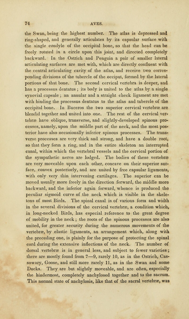 the Swan, being the highest number. The atlas is depressed and ring-shaped, and generally articulates by its capsular surface with the single condyle of the occipital bone, so that the head can be freely rotated in a circle upon this joint, and directed completely backward. In the Ostrich and Penguin a pair of smaller lateral articulating surfaces are met with, which are directly confluent with the central articulating cavity of the atlas, and receive two corres- ponding diA'isions of the tubercle of the occiput, formed by the lateral portions of that bone. The second cervical vertebra is deeper, and has a processus dentatus ; its body is united to the atlas by a single synovial capsule ; an annular and a straight check ligament are met with binding the processus dentatus to the atlas and tubercle of the occipital bone. In Buceros the two superior cervical vertebras are blendid together and united into one. The rest of the cervical ver- tebras have oblique, transverse, and slightly-developed spinous pro- cesses, namely, upon the middle part of the neck, and the most pos- terior have also occasionally inferior spinous processes. The trans- verse processes are very thick and strong, and have a double root, so that they form a ring, and in the entire skeleton an interrupted canal, within which the vertebral vessels and the cervical portion of the sympathetic nerve are lodged. The bodies of these vertebrae are very moveable upon each other, concave on their superior sur- face, convex posteriorly, and are united by free capsular ligaments, with only very thin intervening cartilages. The superior can be moved usually more freely in the direction forward, the middle more backward, and the inferior again forward, whence is produced the peculiar sigmoid curve of the neck which is visible in the skele- tons of most Birds. The spinal canal is of various form and width in the several divisions of the cervical vertebrae, a condition which, in long-necked Birds, has especial reference to the great degree of mobility in the neck ; the roots of the spinous processes are also united, for greater security during the numerous movements of the vertebras, by elastic ligaments, an arrangement which, along with the preceding one, is plainly for the purpose of protecting the spinal cord during the extensive inflections of the neck. The number of dorsal vertebras is in general less, and subject to fewer varieties ; there are mostly found from 7—9, rarely 10, as in the Ostrich, Cas- sowary, Goose, and still more rarely 11, as in the Swan and some Ducks. They are but slightly moveable, and are often, especially the hindermost, completely anchylosed together and to the sacrum. This normal state of anchylosis, like that of the sacral vertebras, was