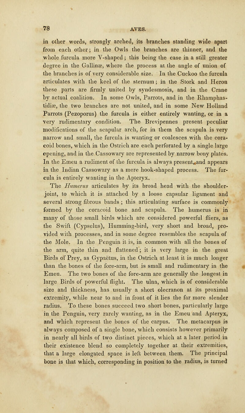 in other words, strongly arched, its branches standing wide apart from each other; in the Owls the branches are thinner, and the whole furcula more V-shaped; this being the case in a still greater degree in the Gallinae, where the process at the angle of union of the branches is of very considerable size. In the Cuckoo the furcula articulates with the keel of the sternum; in the Stork and Heron these parts are firmly united by syndesmosis, and in the Crane by actual coalition. In some Owls, Parrots, and in the Rhamphas- tidias, the two branches are not united, and in some New Holland Parrots (Pezoporus) the furcula is either entirely wanting, or in a very rudimentary condition. The Brevipennes present peculiar modifications of the scapular arch, for in them the scapula is very narrow and small, the furcula is wanting or coalesces with the cora- coid bones, which in the Ostrich are each perforated by a single large opening, and in the Cassowary are represented by narrow bony plates. In the Emeu a rudiment of the furcula is always present,,and appears in the Indian Cassowary as a mere hook-shaped process. The fur- cula is entirely wanting in the Apteryx. The Humerus articulates by its broad head with the shoulder- joint, to which it is attached by a loose capsular ligament and several strong fibrous bands ; this articulating surface is commonly formed by the coracoid bone and scapula. The humerus is in many of those small birds which are considered powerful fliers, as the Swift (Cypselus), Humming-bird, very short and broad, pro- vided with processes, and in some degree resembles the scapula of the Mole. In the Penguin it is, in common with all the bones of the arm, quite thin and flattened; it is very large in the great Birds of Prey, as Gypaetus, in the Ostrich at least it is much longer than the bones of the fore-arm, but is small and rudimentary in the Emeu. The two bones of the fore-arm are generally the longest in large Birds of powerful flight. The ulna, which is of considerable size and thickness, has usually a short olecranon at its proximal extremity, while near to and in front of it lies the far more slender radius. To these bones succeed two short bones, particularly large in the Penguin, very rarely wanting, as in the Emeu and Apteryx, and which represent the bones of the carpus. The metacarpus is always composed of a single bone, which consists however primarily in nearly all birds of two distinct pieces, which at a later period in their existence blend so completely together at their extremities, that a large elongated space is left between them. The principal bone is that which, corresponding in position to the radius, is turned