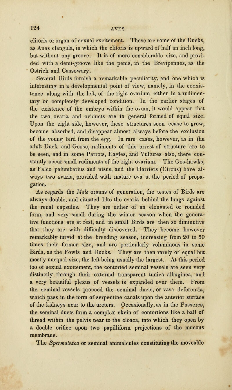clitoris or organ of sexual excitement. These are some of the Ducks, as Anas clangula, in which the clitoris is upward of half an inch long, but without any groove. It is of more considerable size, and provi- ded with a demi-groove like the penis, in the Brevipennes, as the Ostrich and Cassowary. Several Birds furnish a remarkable peculiarity, and one which is interesting in a developmental point of view, namely, in the coexis- tence along with the left, of the right ovarium either in a rudimen- tary or completely developed condition. In the earlier stages of the existence of the embryo within the ovum, it would appear that the two ovaria and oviducts are in general formed of equal size. Upon the right side, however, these structures soon cease to grow, become absorbed, and disappear almost always before the exclusion of the young bird from the egg. In rare cases, however, as in the adult Duck and Goose, rudiments of this arrest of structure are to be seen, and in some Parrots, Eagles, and Vultures also, there con- stantly occur small rudiments of the right ovarium. The Gos-hawks, as Falco palumbarius and nisus, and the Harriers (Circus) have al- ways two ovaria, provided with mature ova at the period of propa- gation. As regards the Male organs of generation, the testes of Birds are always double, and situated like the ovaria behind the lungs against the renal capsules. They are either of an elongated or rounded form, and very small during the winter season when the genera- tive functions are at rest, and in small Birds are then so diminutive that they are with difficulty discovered. They become however remarkably turgid at the breeding season, increasing from 20 to 50 times their former size, and are particularly voluminous in some Birds, as the Fowls and Ducks. They are then rarely of equal but mostly unequal size, the left being usually the largest. At this period too of sexual excitement, the contorted seminal vessels are seen very distinctly through their external transparent tunica albuginea, and a very beautiful plexus of vessels is expanded over them. From the seminal vessels proceed the seminal ducts, or vasa deferentia, which pass in the form of serpentine canals upon the anterior surface of the kidneys near to the ureters. Occasionally, as in the Passeres, the seminal ducts form a complex skein of contortions like a ball of thread within the pelvis near to the cloaca, into which they open by a double orifice upon two papilliform projections of the mucous membrane. The Spermatozoa or seminal animalcules constituting the moveable