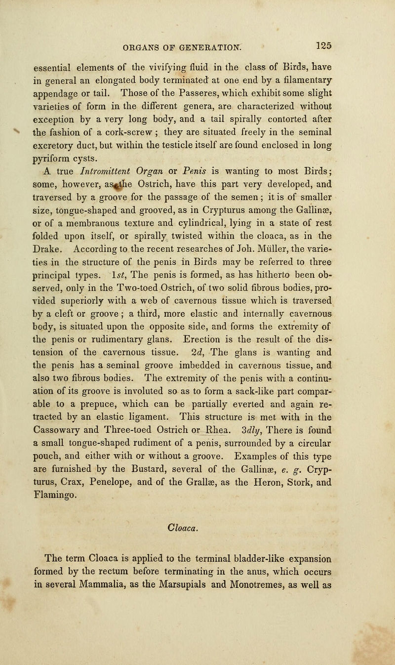 essential elements of the vivifying fluid in the class of Birds, have in general an elongated body terminated at one end by a filamentary appendage or tail. Those of the Passeres, which exhibit some slight varieties of form in the different genera, are characterized without exception by a very long body, and a tail spirally contorted after the fashion of a cork-screw ; they are situated freely in the seminal excretory duct, but within the testicle itself are found enclosed in long pyriform cysts. A true Intromittent Organ or Penis is wanting to most Birds; some, however, as^the Ostrich, have this part very developed, and traversed by a groove for the passage of the semen; it is of smaller size, tongue-shaped and grooved, as in Crypturus among the Gallinae, or of a membranous texture and cylindrical, lying in a state of rest folded upon itself, or spirally twisted within the cloaca, as in the Drake. According to the recent researches of Joh. Midler, the varie- ties in the structure of the penis in Birds may be referred to three principal types. 1st, The penis is formed, as has hitherto been ob- served, only in the Two-toed Ostrich, of two solid fibrous bodies, pro- vided superiorly with a web of cavernous tissue which is traversed by a cleft or groove; a third, more elastic and internally cavernous body, is situated upon the opposite side, and forms the extremity of the penis or rudimentary glans. Erection is the result of the dis- tension of the cavernous tissue. 2d, The glans is wanting and the penis has a seminal groove imbedded in cavernous tissue, and also two fibrous bodies. The extremity of the penis with a continu- ation of its groove is involuted so as to form a sack-like part compar- able to a prepuce, which can be partially everted and again re- tracted by an elastic ligament. This structure is met with in the Cassowary and Three-toed Ostrich or Rhea. 3dly, There is found a small tongue-shaped rudiment of a penis, surrounded by a circular pouch, and either with or without a groove. Examples of this type are furnished by the Bustard, several of the Gallinse, e. g. Cryp- turus, Crax, Penelope, and of the Grallae, as the Heron, Stork, and Flamingo. Cloaca. The term Cloaca is applied to the terminal bladder-like expansion formed by the rectum before terminating in the anus, which occurs in several Mammalia, as the Marsupials and Monotremes, as well as