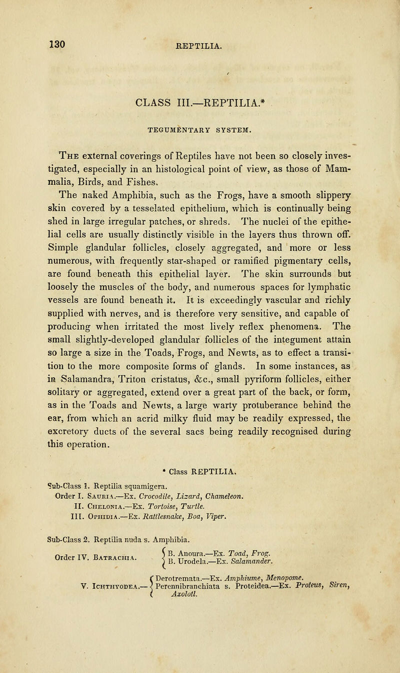 CLASS III.—REPTILIA.* TEGUMENTARY SYSTEM. The external coverings of Reptiles have not been so closely inves- tigated, especially in an histological point of view, as those of Mam- malia, Birds, and Fishes, The naked Amphibia, such as the Frogs, have a smooth slippery skin covered by a tesselated epithelium, which is continually being shed in large irregular patches, or shreds. The nuclei of the epithe- lial cells are usually distinctly visible in the layers thus thrown off. Simple glandular follicles, closely aggregated, and more or less numerous, with frequently star-shaped or ramified pigmentary cells, are found beneath this epithelial layer. The skin surrounds but loosely the muscles of the body, and numerous spaces for lymphatic vessels are found beneath it. It is exceedingly vascular and richly supplied with nerves, and is therefore very sensitive, and capable of producing when irritated the most, lively reflex phenomena. The small slightly-developed glandular follicles of the integument attain so large a size in the Toads, Frogs, and Newts, as to effect a transi- tion to the more composite forms of glands. In some instances, as in Salamandra, Triton cristatus, &c, small pyriform follicles, either solitary or aggregated, extend over a great part of the back, or form, as in the Toads and Newts, a large warty protuberance behind the ear, from which an acrid milky fluid may be readily expressed, the excretory ducts of the several sacs being readily recognised during this operation. • Class REPTILIA. Sub-Class 2. Reptilia squamigera. Order I. Sauria.—Ex. Crocodile, Lizard, Chameleon. II. Chelonia.—Ex. Tortoise, Turtle. III. Ophidia.—Ex. Rattlesnake, Boa, Viper. Sub-Class 2. Reptilia nuda s. Amphibia. Order IV. Baxrach,, ^ Ag^^igj^ C Derotremata.—Ex. Amphiume, Menopome. V. Ichthyodea.— < Perennibranchiata s. Proteidea.—Ex. Proteus, Siren, ( Axolotl.