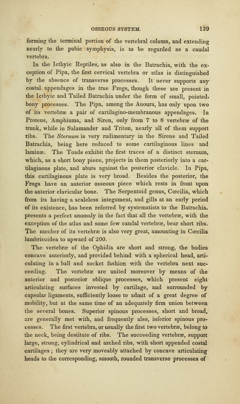 forming the terminal portion of the vertebral column, and extending nearly to the pubic symphysis, is to be regarded as a caudal vertebra. In the Icthyic Reptiles, as also in the Batrachia, with the ex- ception of Pipa, the first cervical vertebra or atlas is distinguished by the absence of transverse processes. It never supports any costal appendages in the true Frogs, though these are present in the Icthyic and Tailed Batrachia under the form of small, pointed) bony processes. The Pipa, among the Anoura, has only upon two of its vertebrae a pair of cartilagino-membranous appendages. In Proteus, Amphiuma, and Siren, only from 7 to 8 vertebra? of the trunk, while in Salamander and Triton, nearly all of them support ribs. The Sternum is very rudimentary in the Sirens and Tailed Batrachia, being here reduced to some cartilaginous lines and laminae. The Toads exhibit the first traces of a distinct sternum, which, as a short bony piece, projects in them posteriorly into a car- tilaginous plate, and abuts against the posterior clavicle. In Pipa, this cartilaginous plate is very broad. Besides the posterior, the Frogs have an anterior osseous piece which rests in front upon the anterior clavicular bone. The Serpentoid genus, Coecilia, which from its having a scaleless integument, and gills at an early period of its existence, has been referred by systematists to the Batrachia. presents a perfect anomaly in the fact that all the vertebrae, with the exception of the atlas and some few caudal vertebrae, bear short ribs. The number of its vertebrae is also very great, amounting in Coecilia lumbricoidea to upward of 200. The vertebras of the Ophidia are short and strong, the bodies concave anteriorly, and provided behind with a spherical head, arti- culating in a ball and socket fashion with the vertebra next suc- ceeding. The vertebras are united moreover by means of the anterior and posterior oblique processes, which present eight articulating surfaces invested by cartilage, and surrounded by capsular ligaments, sufficiently loose to admit of a great degree of mobility, but at the same time of an adequately firm union between the several bones. Superior spinous processes, short and broad, tire generally met with, and frequently also, inferior spinous pro- cesses. The first vertebra, or usually the first two vertebrae, belong to the neck, being destitute of ribs. The succeeding vertebrae, support large, strong, cylindrical and arched ribs, with short appended costal cartilages ; they are very moveably attached by concave articulating heads to the corresponding, smooth, rounded transverse processes of