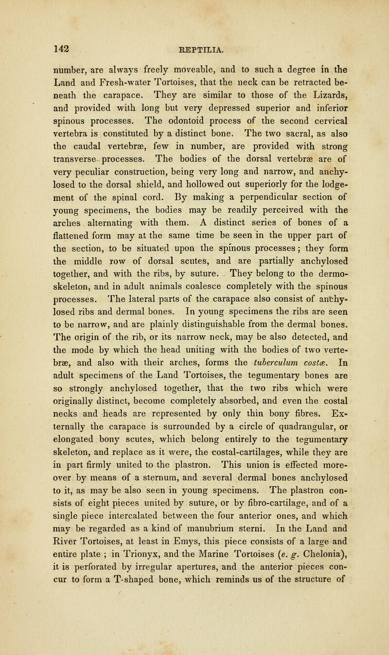 number, are always freely moveable, and to such a degree in the Land and Fresh-water Tortoises, that the neck can be retracted be- neath the carapace. They are similar to those of the Lizards, and provided with long but very depressed superior and inferior spinous processes. The odontoid process of the second cervical vertebra is constituted by a distinct bone. The two sacral, as also the caudal vertebrae, few in number, are provided with strong transverse processes. The bodies of the dorsal vertebras are of very peculiar construction, being very long and narrow, and anchy- losed to the dorsal shield, and hollowed out superiorly for the lodge- ment of the spinal cord. By making a perpendicular section of young specimens, the bodies may be readily perceived with the arches alternating with them. A distinct series of bones of a flattened form may at the same time be seen in the upper part of the section, to be situated upon the spinous processes; they form the middle row of dorsal scutes, and are partially anchylosed together, and with the ribs, by suture. They belong to the dermo- skeleton, and in adult animals coalesce completely with the spinous processes. The lateral parts of the carapace also consist of anchy- losed ribs and dermal bones. In young specimens the ribs are seen to be narrow, and are plainly distinguishable from the dermal bones. The origin of the rib, or its narrow neck, may be also detected, and the mode by which the head uniting with the bodies of two verte- brae, and also with their arches, forms the tuberculum costm. In adult specimens of the Land Tortoises, the tegumentary bones are so strongly anchylosed together, that the two ribs which were originally distinct, become completely absorbed, and even the costal necks and heads are represented by only thin bony fibres. Ex- ternally the carapace is surrounded by a circle of quadrangular, or elongated bony scutes, which belong entirely to the tegumentary skeleton, and replace as it were, the costal-cartilages, while they are in part firmly united to the plastron. This union is effected more- over by means of a sternum, and several dermal bones anchylosed to it, as may be also seen in young specimens. The plastron con- sists of eight pieces united by suture, or by fibro-cartilage, and of a single piece intercalated between the four anterior ones, and which may be regarded as a kind of manubrium sterni. In the Land and River Tortoises, at least in Emys, this piece consists of a large and entire plate ; in Trionyx, and the Marine Tortoises (e. g. Chelonia), it is perforated by irregular apertures, and the anterior pieces con- cur to form a T-shaped bone, which reminds us of the structure of
