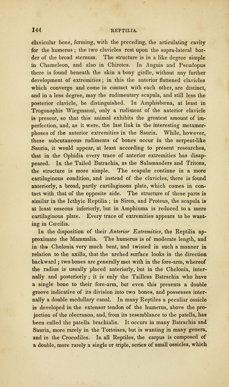 clavicular bone, forming, with the preceding, the articulating cavity for the humerus ; the two clavicles rest upon the supra-lateral bor- der of the broad sternum. The structure is in a like degree simple in Chameleon, and also in Chirotes. In Anguis and Pseudopus there is found beneath the skin a bony girdle, without any further development of extremities ; in this the anterior flattened clavicles which converge and come in contact with each other, are distinct, and in a less degree, may the rudimentary scapula, and still less the posterior clavicle, be distinguished. In Amphisbcena, at least in Trogonophis Wiegmanni, only a rudiment of the anterior clavicle is present, so that this animal exhibits the greatest amount of im- perfection, and, as it were, the last link in the interesting metamor- phoses of the anterior extremities in the Sauria. While, however, these subcutaneous rudiments of bones occur in the serpent-like Sauria, it would appear, at least according to present researches, that in the Ophidia every trace of anterior extremities has disap- peared. In the Tailed Batrachia, as the Salamanders and Tritons, the structure is more simple. The scapulae continue in a more cartilaginous condition, and instead of the clavicles, there is found anteriorly, a broad, partly cartilaginous plate, which comes in con- tact with that of the opposite side. The structure of these parts is similar in the Icthyic Reptilia ; in Siren, and Proteus, the scapula is at least osseous inferiorly, but in Amphiuma is reduced to a mere cartilaginous plate. Every trace of extremities appears to be want- ing in Ccecilia. In the disposition of their Anterior Extremities, the Reptilia ap- proximate the Mammalia. The humerus is of moderate length, and in the Chelonia very much bent, and twisted in such a manner in relation to the axilla, that the arched surface looks in the direction backward ; two bones are generally met with in the fore-arm, whereof the radius is usually placed anteriorly, but in the Chelonia, inter- nally and posteriorly ; it is only the Tailless Batrachia who have a single bone to their fore-arm, but even this presents a double groove indicative of its division into two bones, and possesses inter- nally a double medullary canal. In many Reptiles a peculiar ossicle is developed in the extensor tendon of the humerus, above the pro- jection of the olecranon, and, from its resemblance to the patella, has been called the patella brachialis. It occurs in many Batrachia and Sauria, more rarely in the Tortoises, but is wanting in many genera, and in the Crocodiles. In all Reptiles, the carpus is composed of a double, more rarely a single or triple, series of small ossicles, which