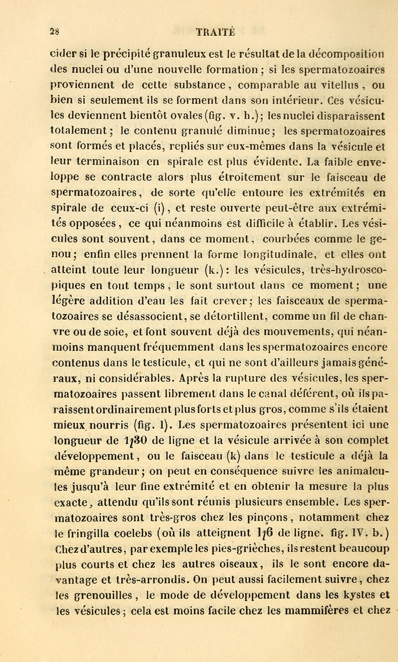 cider si le précipité granuleux est le résultat de la décomposition des nuclei ou d'une nouvelle formation ; si les spermatozoaires proviennent de cette substance, comparable au vilellus , ou bien si seulement ils se forment dans son intérieur. Ces vésicu- les deviennent bientôt ovales {fig. v. h.); les nuclei disparaissent totalement; le contenu granulé diminue; les spermatozoaires sont formés et placés, repliés sur eux-mêmes dans la vésicule et leur terminaison en spirale est plus évidente. La faible enve* loppe se contracte alors plus étroitement sur le faisceau de spermatozoaires, de sorte qu'elle entoure les extrémités en spirale de ceux-ci (i), et reste ouverte peut-être aux extrémi- tés opposées , ce qui néanmoins est difficile à établir. Les vési- cules sont souvent, dans ce moment, courbées comme le ge- nou; enfin elles prennent la forme longitudinale, et elles ont atteint toute leur longueur (k.) : les vésicules, très-hydrosco- piques en tout temps , le sont surtout dans ce moment ; une légère addition d'eau les fait crever; les faisceaux de sperma- tozoaires se désassocient, se détortillent, comme un fil de chan- vre ou de soie, et font souvent déjà des mouvements, qui néan- moins manquent fréquemment dans les spermatozoaires encore contenus dans le testicule, et qui ne sont d'ailleurs jamais géné- raux, ni considérables. Après la rupture des vésicules, les sper- matozoaires passent librement dans le canal déférent, où ils pa- raissent ordinairement plus forts et plus gros, comme s'ils étaient mieux nourris (fig. 1). Les spermatozoaires présentent ici une longueur de 1^30 de ligne et la vésicule arrivée à son complet développement, ou le faisceau (k) dans le testicule a déjà La même grandeur; on peut en conséquence suivre les animalcu- les jusqu'à leur fine extrémité et en obtenir la mesure la plus exacte ;, attendu qu'ils sont réunis plusieurs ensemble. Les sper- matozoaires sont très-gros chez les pinçons, notamment chez le fringilla coelebs (où ils atteignent 1^6 de ligne, fig. IV. b.) Chez d'autres, par exemple les pies-grièches, ils restent beaucoup plus courts et chez les autres oiseaux, ils le sont encore da- vantage et très-arrondis. On peut aussi facilement suivre, chez les grenouilles, le mode de développement dans les kystes et les vésicules ; cela est moins facile chez les mammifères et chez