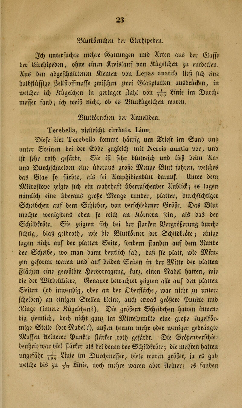 3cf) untetfucfete me^re Gattungen unb 3(vten au^ bet (klaffe bei' Gicc^ipcben, o^ne einen Ävei^faiif tjon ÄU3e(d)en ^u entbecfen. 2(u6 ben abgefdjjnittenen Sternen uon Lepas anatifa lief fid) eine ^albflüjjige B^W^ffmaffc $wi|'d)en ^mi (^ia^iptattm auöbcuden, in tt)eid)ec id) ^ugetc^en in geringec 3al}( üon -^ Sinie im 2)ucd)i meffec fanb; id) wei^ iiic{)t, ob eö S3(utfugeld)en tvcicen. ^tut66cnd()en bec 2(nneliben. Terebella, t»felieid)t cirrhata Linn. £>iefe Kxt Terebella fommt i^dufig um ^^riejl im @anb unb untec Steinen bei bec (56be ^ixo^kid) mit Nereis nuntia v>oc, unb i\t \d)t rotf) gefdcbt. ©ie ijl fe()c blutreid) unb üep beim 7(n= unb £)ucdf)rc^neiben eine ubecauö gcope fS^enge S3(uC fat)ren, n)ctci;e^ ba6 ©taö fo fdcbte, a(6 fei 2Cmp()ibienb(ut bacauf. Vlntec bem CD2ifroffope geigte fid[) m wa^t^a^t übeccafc^enbec Znhlid^y e^ la^m nämiid) eine überaus grope !B?enge runber, platter, buvci)ftcf)tigec <S(J)eibc^en auf bem <öd)ieber, üon tjerfc^iebenec @r6pe. Sa§ S5iut mod)te tt)enigj!en^ thtn fo reic^ an hörnern fein, at^ ba5 bec ®d()iib!c6te. @ie jeigfen ftd) bei ber jlacfen SSecgtofetung bucci)^ ftd)tig, b(Qp getbcot^, n)ie bie S3(utf6rnec bec ©d^itbfvotej einige lagen nid^t auf bec ^iatun <BdU, fonbecn jlanben auf bem O^anbe bec ©c^eibe, n?o man bann beuttief) faf), ba^ fte platt, noie f9?um 5en geformt tvacen unb auf Uibm ^dun in bec 9)?itte bec ii>iatun g(dd)en eine genjotbte §ei't)ocragung, fucj, einen ^aUl i)atun, wie bii bec SSicbett^iece. ©enauec Utm6:)Ut §eigten alle auf ben ^iatun ©eiten (ob inwenbig, obec an bec £)becfldd[)e, roac nid)t $u untec^ fci)eiben) an einigen <Builin Heine, aud) etroaö gcofere fünfte unb Siinge (innere Äugetd)en?). £)ie grofern <S^eibd)en Ratten innjen^ big siem(id), bod) nid)t ganj im !!)?{ttelpunfte eine grofe fugetfor^ mtge ©teüe (ber Orabet?), aupen f)erum me^c ober njeniger gebrdngte CO^affm feinerer fünfte jidrfer rot() gefdrbt. £)ie @r6^enüerfd)ie- ben()eit mu üiet ftdrfec at5 bei benen ber ©d)i(bfr6te5 bii meijlen f)atten ungefähr j— 2inie im 2)urd)meffer, üjele n?aren großer, ja e^ gab wetc^e hi^ $u ^V ßinie, nod) niedre waren aber fteiner; e^ fanbm