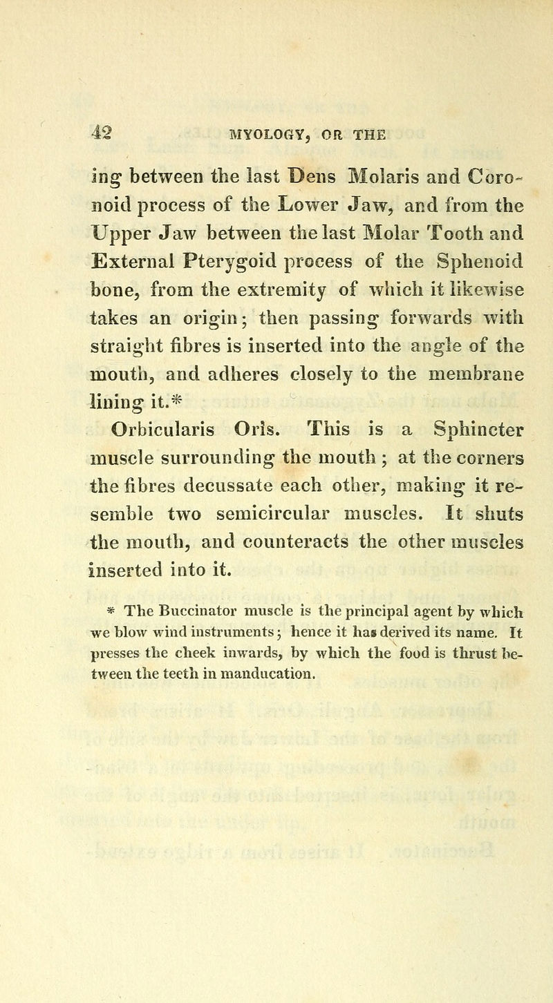 Ing between the last Dens Molaris and Coro- noid process of the Lower Jaw, and from the Upper Jaw between the last Molar Tooth and External Pterygoid process of the Sphenoid bone, from the extremity of which it likewise takes an origin; then passing forwards with straight Jfibres is inserted into the angle of the mouth, and adheres closely to the membrane lining it.* Orbicularis Oris. This is a Sphincter muscle surrounding the mouth ; at the corners the fibres decussate each other, making it re- semble two semicircular muscles. It shuts the mouth, and counteracts the other muscles inserted into it. * The Buccinator muscle is the principal agent by which we blow wind instruments 5 hence it ha» derived its name. It presses the cheek inwards, by which the food is thrust be- tween the teeth in manducation.