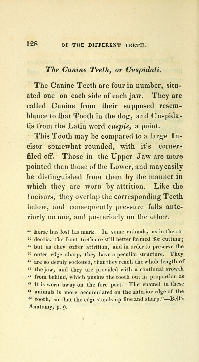 The Canine Teeth, or Cuspidati, The Canine Teeth are four in number, situ- ated one on each side of each jaw. They are called Canine from their supposed resem- blance to that Tooth in the dog, and Cuspida- tis from the Latin word cuspis, a point. This Tooth may be compared to a large In- cisor somewhat rounded, with it's corners filed off. Those in the Upper Jaw are more pointed than those of the Lower, and may easily be distinguished from them by the manner in which they are worn by attrition. Like the Incisors, they overlap the corresponding Teeth below, and consequently pressure fails ante- riorly on one, and posteriorly on the other. ** horse has lost bis mai'k. In some animals, as in the ro- <* dentia, the front teeth are still better formed for cutting; '* but as they sufFer attrition, and in order to preserve the *' outer edge sharp, they have a peculiar structure. They ** are so deeply socketed, that they reach the whole length of  the jaw, and they are provided with a continual growth •' from behind, which pushes the tooth out in proportion as  it is worn away on the fore part. The enamel in these  animals is moie accumulated on the anterior edge of the ** tooth, so that the edge stands up fine and sharp.—Bell's Anatomy, p. 9.