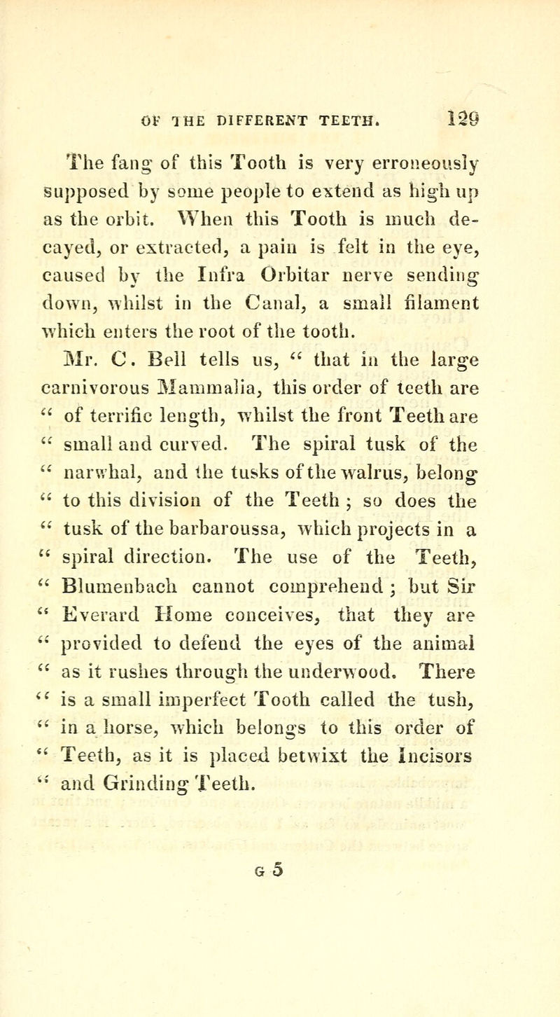 The fang of this Tooth is very erroneously supposed by some people to extend as high up as the orbit. When this Tooth is much de- cayed, or extracted, a pain is felt in the eye, caused by the Infra Orbitar nerve sending down, whilst in the Canal, a small filament which enters the root of the tooth. Mr. C. Bell tells us,  that in the large carnivorous Mammalia, this order of teeth are  of terrific length, whilst the front Teeth are  small and curved. The spiral tusk of the  narwhal, and the tusks of the walrus, belong  to this division of the Teeth ; so does the  tusk of the barbaroussa, which projects in a  spiral direction. The use of the Teeth, ^' Blumenbach cannot comprehend ; but Sir '* Everard Home conceives, that they are  provided to defend the eyes of the animal  as it rushes through the underwood. There *' is a small imperfect Tooth called the tush, '' in a horse, which belongs to this order of *' Teeth, as it is placed betwixt the Incisors '•' and Grinding Teeth. g5