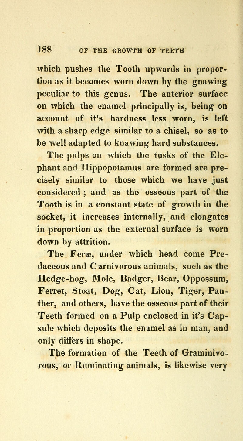 which pushes the Tooth upwards in propor- tion as it becomes worn down by the gnawing peculiar to this genus. The anterior surface on which the enamel principally is, being ou account of it's hardness less worn, is left with a sharp ed^e similar to a chisel, so as to be well adapted to knawing hard substances. The pulps on which the tusks of the Ele- phant and Hippopotamus are formed are pre- cisely similar to those which we have just considered ; and as the osseous part of the Tooth is in a constant state of growth in the socket, it increases internally, and elongates in proportion as the external surface is worn down by attrition. The Feree, under which head come Pre- daceous and Carnivorous animals, such as the Hedge-hog, Mole, Badger, Bear, Oppossum, Ferret, Stoat, Dog, Cat, Lion, Tiger, Pan- ther, and others, have the osseous part of their Teeth formed on a Pulp enclosed in it's Cap- sule which deposits the enamel as in man, and only differs in shape. TJie formation of the Teeth of Graminivo- rous, or Ruminating animals, is likewise very