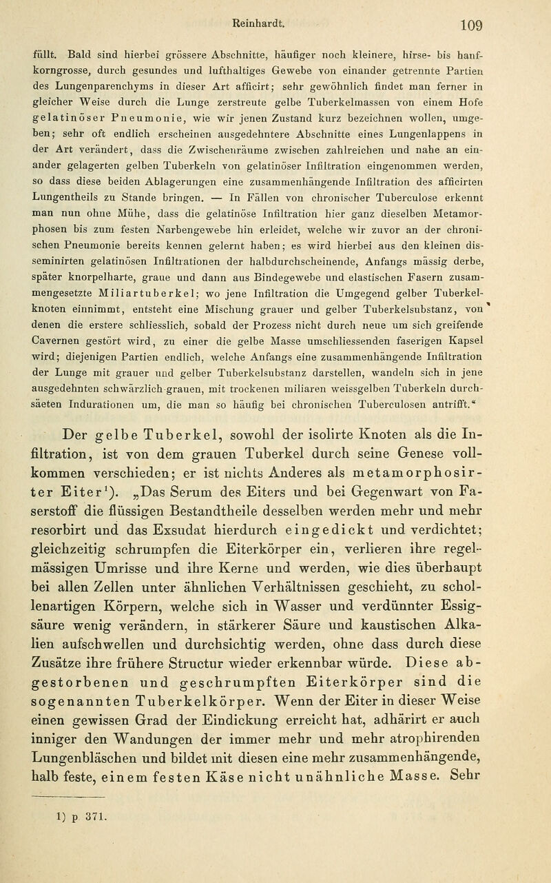 Reinhardt. IQQ füllt. Bald sind hierbei grössere Abschnitte, häufiger noch kleinere, hirse- bis hanf- korngrosse, durch gesundes und lufthaltiges Gewebe von einander getrennte Partien des Lungenparenchyms in dieser Art afficirt; sehr gewöhnlich findet man ferner in gleicher Weise durch die Lunge zerstreute gelbe Tuberkelmassen von einem Hofe gelatinöser Pneumonie, wie wir jenen Zustand kurz bezeichnen wollen, umge- ben; sehr oft endlich erscheinen ausgedehntere Abschnitte eines Lungenlappens in der Art verändert, dass die Zwischenräume zwischen zahlreichen und nahe an ein- ander gelagerten gelben Tuberkeln von gelatinöser Infiltration eingenommen werden, so dass diese beiden Ablagerungen eine zusammenhängende Infiltration des afficirten Lungentheils zu Stande bringen. — In Fällen von chronischer Tuberculose erkennt man nun ohne Mühe, dass die gelatinöse Infiltration hier ganz dieselben Metamor- phosen bis zum festen Narbengewebe hin erleidet, welche wir zuvor an der chroni- schen Pneumonie bereits kennen gelernt haben; es wird hierbei aus den kleinen dis- seminirten gelatinösen Infiltrationen der halbdurchscheinende, Anfangs massig derbe, später knorpelharte, graue und dann aus Bindegewebe und elastischen Fasern zusam- mengesetzte Miliartuberkel; wo jene Infiltration die Umgegend gelber Tuberkel- knoten einnimmt, entsteht eine Mischung grauer und gelber Tuberkelsubstanz, von denen die erstere schliesslich, sobald der Prozess nicht durch neue um sich greifende Cavernen gestört wird, zu einer die gelbe Masse umschliessenden faserigen Kapsel wird; diejenigen Partien endlich, welche Anfangs eine zusammenhängende Infiltration der Lunge mit grauer und gelber Tuberkelsubstanz darstellen, wandeln sich in jene ausgedehnten schwärzlich-grauen, mit trockenen miliaren weissgelben Tuberkeln durch- säeten Indurationen um, die man so häufig bei chronischen Tuberculosen antrifi't.'' Der gelbe Tuberkel, sowohl der isolirte Knoten als die In- filtration, ist von dem grauen Tuberkel durch seine Genese voll- kommen verschieden; er ist nichts Anderes als metamorphosir- ter Eiter^). „Das Serum des Eiters und bei Gegenwart von Fa- serstofi die flüssigen Bestandtheile desselben werden mehr und mehr resorbirt und das Exsudat hierdurch eingedickt und verdichtet; gleichzeitig schrumpfen die Eiterkörper ein, verlieren ihre regel- mässigen Umrisse und ihre Kerne und werden, wie dies überhaupt bei allen Zellen unter ähnlichen Verhältnissen geschieht, zu schol- lenartigen Körpern, welche sich in Wasser und verdünnter Essig- säure wenig verändern, in stärkerer Säure und kaustischen Alka- lien aufschwellen und durchsichtig werden, ohne dass durch diese Zusätze ihre frühere Structur wieder erkennbar würde. Diese ab- gestorbenen und geschrumpften Eiterkörper sind die sogenannten Tuberkelkörper. Wenn der Eiter in dieser Weise einen gewissen Grad der Eindickung erreicht hat, adhärirt er auch inniger den Wandungen der immer mehr und mehr atrophirenden Lungenbläschen und bildet mit diesen eine mehr zusammenhängende, halb feste, einem festen Käse nicht unähnliche Masse. Sehr