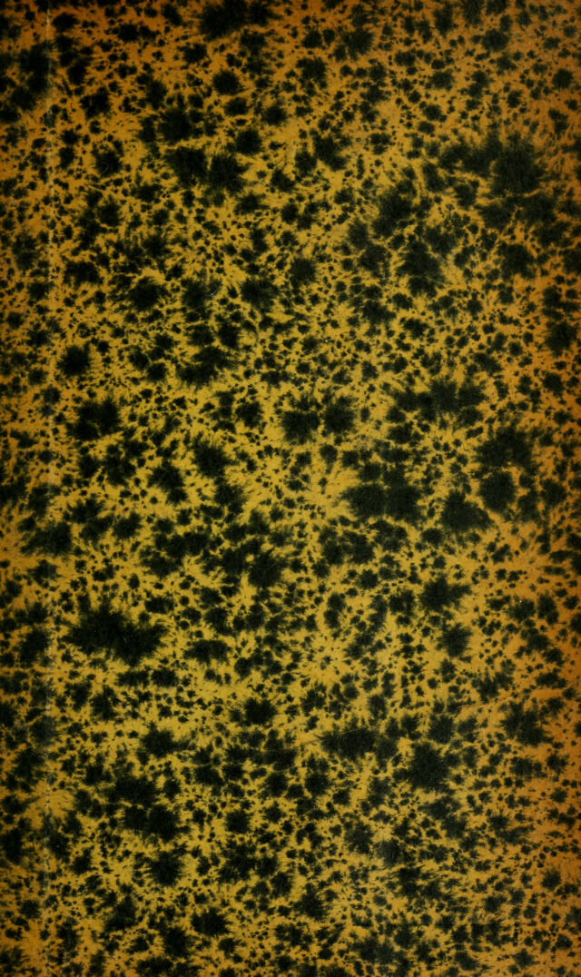 digitised image 1