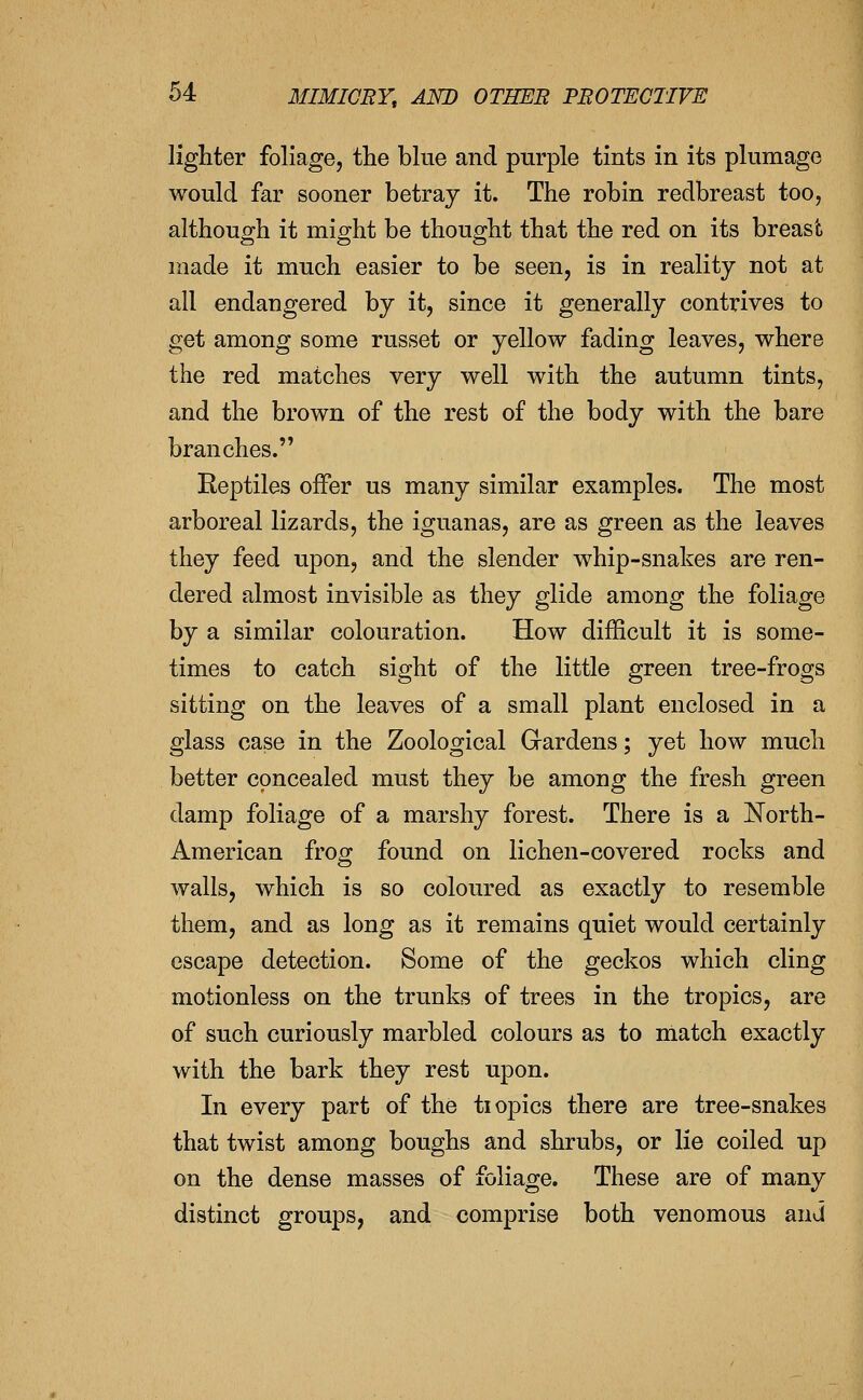 lighter foliage, tlie blue and purple tints in its plumage would far sooner betray it. The robin redbreast too, although it might be thought that the red on its breast made it much easier to be seen, is in reality not at all endangered by it, since it generally contrives to get among some russet or yellow fading leaves, where the red matches very well with the autumn tints, and the brown of the rest of the body with the bare branches. Reptiles offer us many similar examples. The most arboreal lizards, the iguanas, are as green as the leaves they feed upon, and the slender whip-snakes are ren- dered almost invisible as they glide among the foliage by a similar colouration. How difficult it is some- times to catch sight of the little green tree-frogs sitting on the leaves of a small plant enclosed in a glass case in the Zoological Gardens; yet how much better concealed must they be among the fresh green damp foliage of a marshy forest. There is a North- American frog found on lichen-covered rocks and walls, which is so coloured as exactly to resemble them, and as long as it remains quiet would certainly escape detection. Some of the geckos which cling motionless on the trunks of trees in the tropics, are of such curiously marbled colours as to niatch exactly with the bark they rest upon. In every part of the tiopics there are tree-snakes that twist among boughs and shrubs, or lie coiled up on the dense masses of foliage. These are of many distinct groups, and comprise both venomous and