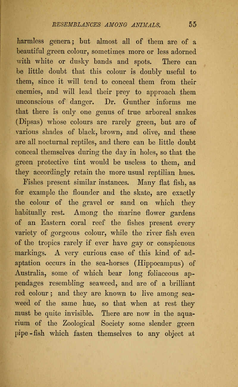 harmless genera; but almost all of them are of a beautiful green colour, sometimes more or less adorned with white or dusky bands and spots. There can be little doubt that this colour is doubly useful to them, since it will tend to conceal them from their enemies, and will lead their prey to approach them unconscious of danger. Dr. Gunther informs me that there is only one genus of true arboreal snakes (Dipsas) whose colours are rarely green, but are of various shades of black, brown, and olive, and these are all nocturnal reptiles, and there can be little doubt conceal themselves during the day in holes, so that the green protective tint would be useless to them, and they accordingly retain the more usual reptilian hues. Fishes present similar instances. Many flat fish, as for example the flounder and the skate, are exactly the colour of the gravel or sand on which they habitually rest. Among the rbarine flower gardens of an Eastern coral reef the fishes present every variety of gorgeous colour, while the river fish even of the tropics rarely if ever have gay or conspicuous markings. A very curious case of this kind of ad- aptation occurs in the sea-horses (Hippocampus) of Australia, some of which bear long foliaceous ap- pendages resembling seaweed, and are of a brilliant red colour; and they are known to live among sea- weed of the same hue, so that when at rest they must be quite invisible. There are now in the aqua- rium of the Zoological Society some slender green pipe-fish which fasten themselves to any object at