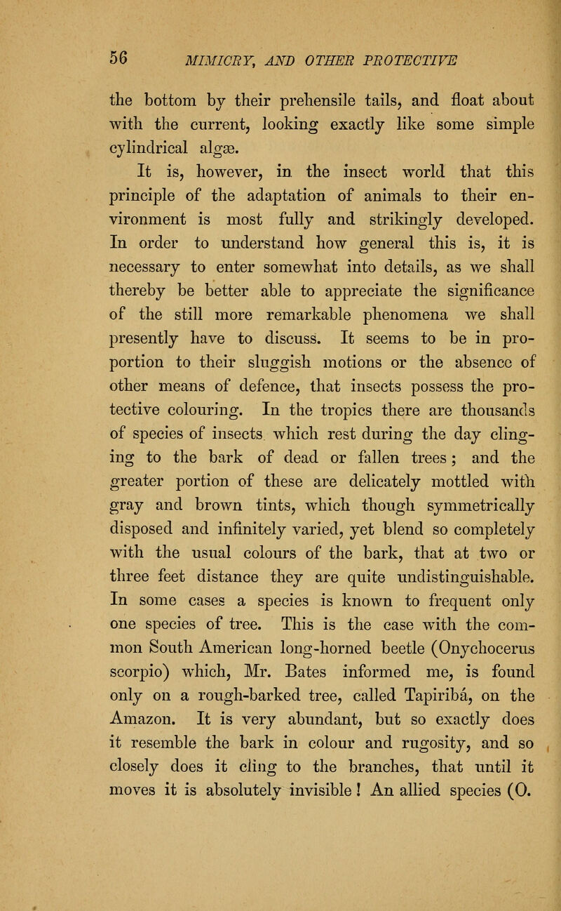 the bottom bv their prehensile tails, and float about with the current, looking exactly like some simple cylindrical algse. It is, however, in the insect world that this principle of the adaptation of animals to their en- vironment is most fully and strikingly developed. In order to understand how general this is, it is necessary to enter somewhat into details, as we shall thereby be better able to appreciate the significance of the still more remarkable phenomena we shall presently have to discuss. It seems to be in pro- portion to their sluggish motions or the absence of other means of defence, that insects possess the pro- tective colouring. In the tropics there are thousands of species of insects which rest during the day cling- ing to the bark of dead or fallen trees; and the greater portion of these are delicately mottled with gray and brown tints, which though symmetrically disposed and infinitely varied, yet blend so completely with the usual colours of the bark, that at two or three feet distance they are quite undistinguishable. In some cases a species is known to frequent only one species of tree. This is the case w^ith the com- mon South American long-horned beetle (Onychocerus Scorpio) which, Mr. Bates informed me, is found only on a rough-barked tree, called Tapiriba, on the Amazon. It is very abundant, but so exactly does it resemble the bark in colour and rugosity, and so closely does it cling to the branches, that until it moves it is absolutely invisible! An allied species (0.