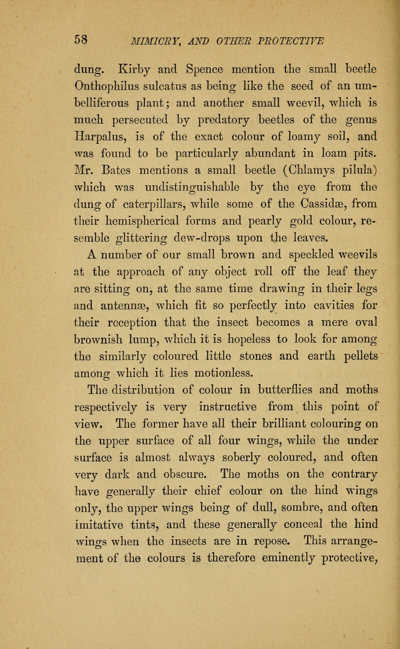 dung. Kirby and Spence mention the small beetle Onthophilus sulcatus as being like the seed of an um- belliferous plant; and another small weevil, which is much persecuted by predatory beetles of the genus Harpalus, is of the exact colour of loamy soil, and was found to be particularly abundant in loam pits. Mr. Bates mentions a small beetle (Chlamys pilula) which was undistinguishable by the eye from the dung of caterpillars, while some of the Cassidse, from their hemispherical forms and pearly gold colour, re- semble glittering dew-drops upon the leaves. A number of our small brown and speckled weevils at the approach of any object roll off the leaf they are sitting on, at the same time drawing in their legs and antennae, which fit so perfectly into cavities for their reception that the insect becomes a mere oval brownish lump, which it is hopeless to look for among the similarly coloured little stones and earth pellets among which it lies motionless. The distribution of colour in butterflies and moths respectively is very instructive from this point of view. The former have all their brilliant colouring on the upper surface of all four wings, while the under surface is almost always soberly coloured, and often very dark and obscure. The moths on the contrary have generally their chief colour on the hind wings only, the upper wings being of dull, sombre, and often imitative tints, and these generally conceal the hind wings when the insects are in repose. This arrange- ment of the colours is therefore eminently protective,