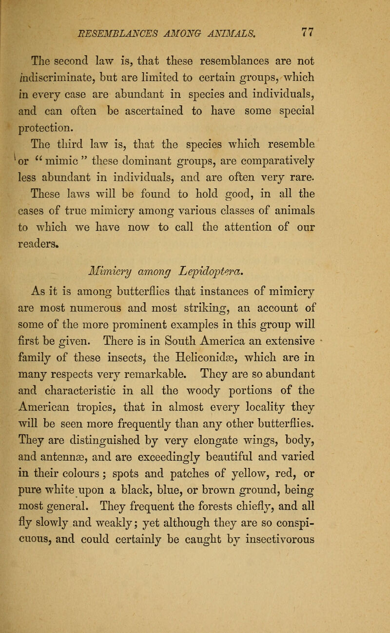 The second law is, that these resemblances are not mdiscriminate, but are limited to certain groups, which in every case are abundant in species and individuals, and can often be ascertained to have some special protection. The third law is, that the species which resemble 'or ^'mimic these dominant groups, are comparatively less abundant in individuals, and are often very rare. These laws will be found to hold good, in all the cases of true mimicry among various classes of animals to which we have now to call the attention of our readers. Mimicry among Lepidoptera, As it is among butterflies that instances of mimicry are most numerous and most striking, an account of some of the more prominent examples in this group will first be given. There is in South America an extensive family of these insects, the Heliconidse, which are in many respects very remarkable. They are so abundant and characteristic in all the woody portions of the American tropics, that in almost every locality they will be seen more frequently than any other butterflies. They are distinguished by very elongate wings, body, and antennae, and are exceedingly beautiful and varied in their colours; spots and patches of yellow, red, or pure white upon a black, blue, or brown ground, being most general. They frequent the forests chiefly, and all fly slowly and weakly; yet although they are so conspi- cuous, and could certainly be caught by insectivorous