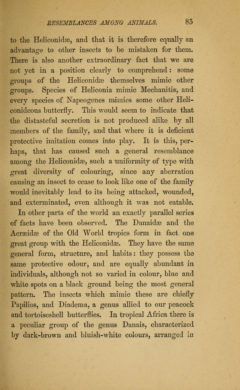 to the HeliconidaB, and that it is therefore equally an advantao^e to other insects to be mistaken for them. There is also another extraordinary fact that we are not yet in a position clearly to comprehend: some groups of the Heliconidas themselves mimic other groups. Species of Heliconia mimic MechanitiSj and every species of Napeogenes mimics some other Heli- conideous butterfly. This would seem to indicate that the distasteful secretion is not produced alike by all members of the family, and that where it is deficient protective imitation comes into play. It is this, per- haps, that has caused such a general resemblance among the Heliconidae, such a uniformity of type with great diversity of colouring, since any aberration causing an insect to cease to look like one of the family would inevitably lead to its being attacked, wounded, and exterminated, even although it was not eatable. In other parts of the world an exactly parallel series of facts have been observed. The Danaid^ and the Acrseidse of the Old World tropics form in fact one great group with the Heliconidae. They have the same general form, structure, and habits: they possess the same protective odour, and are equally abundant in individuals, although not so varied in colour, blue and white spots on a black ground being the most general pattern. The insects which mimic these are chiefly Papilios, and Diadema, a genus allied to our peacock and tortoiseshell butterflies. In tropical Africa there is a peculiar group of the genus Danais, characterized by dark-brown and bluish-white colours, arranged in