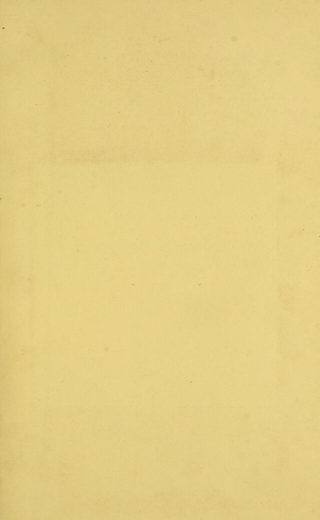 digitised image 3